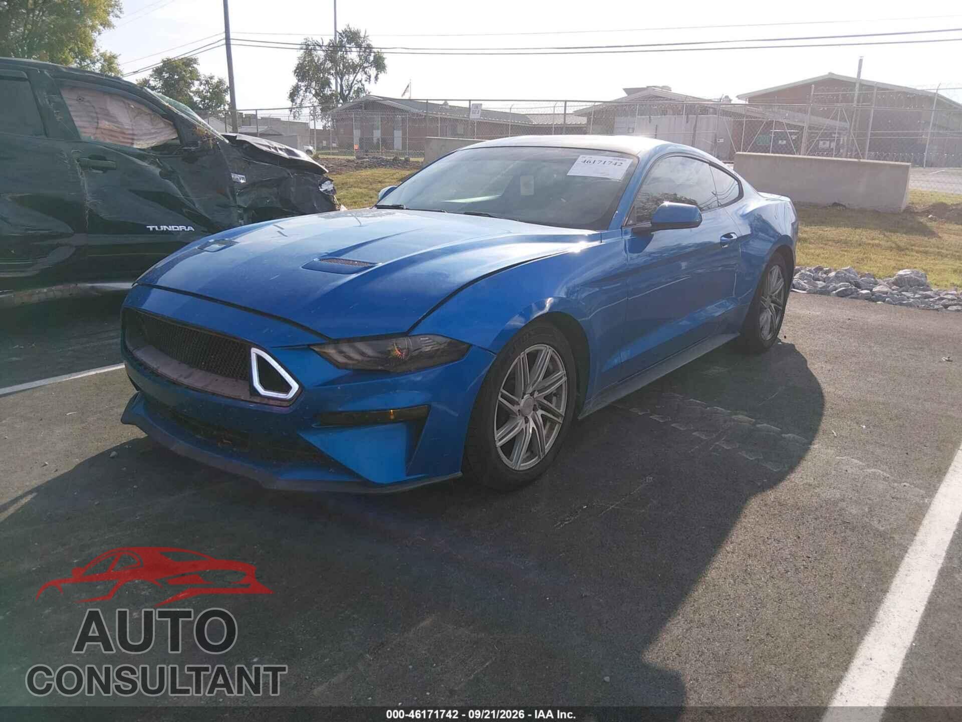 FORD MUSTANG 2019 - 1FA6P8TH8K5133719