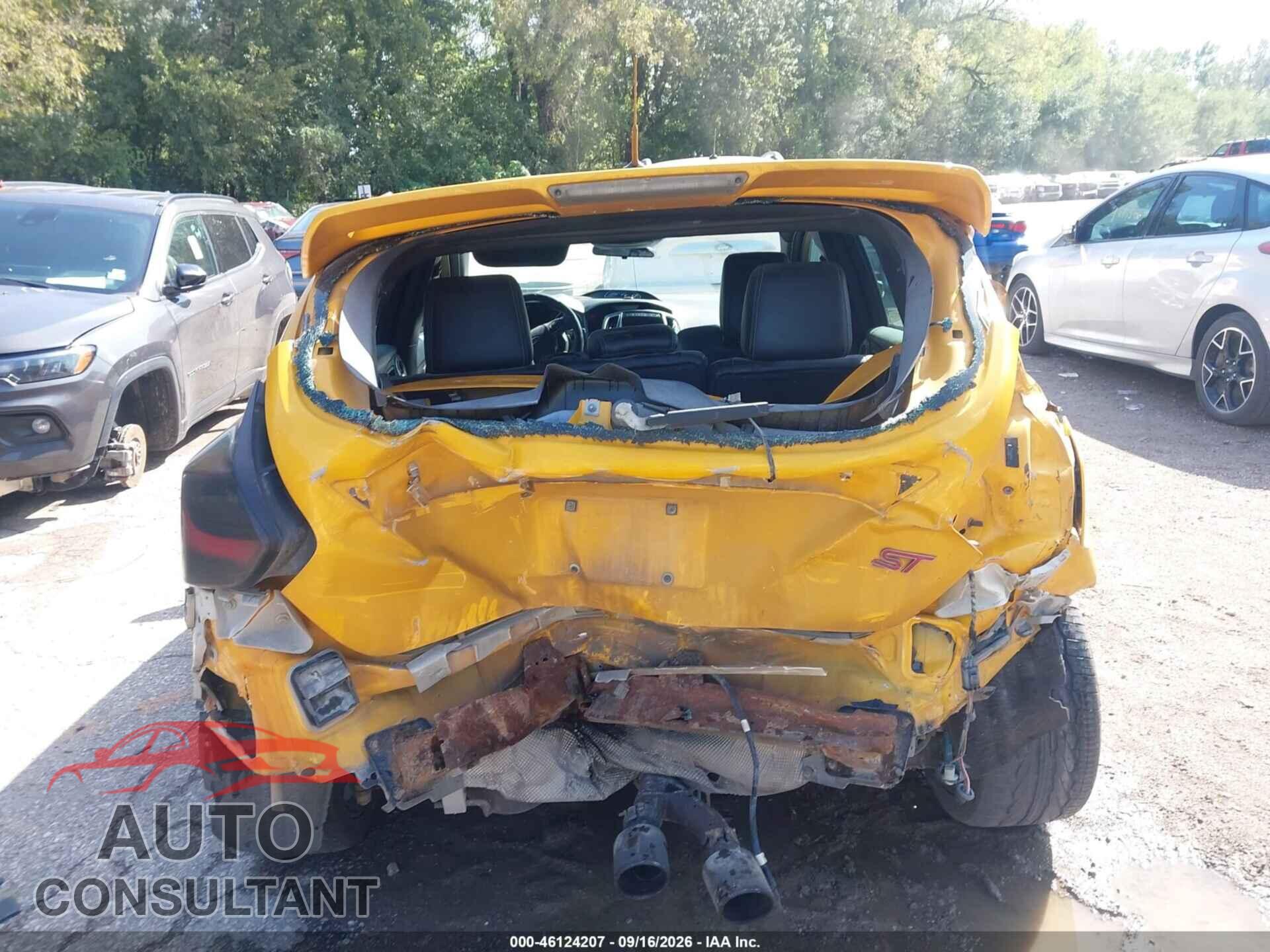 FORD FOCUS ST 2013 - 1FADP3L93DL254613