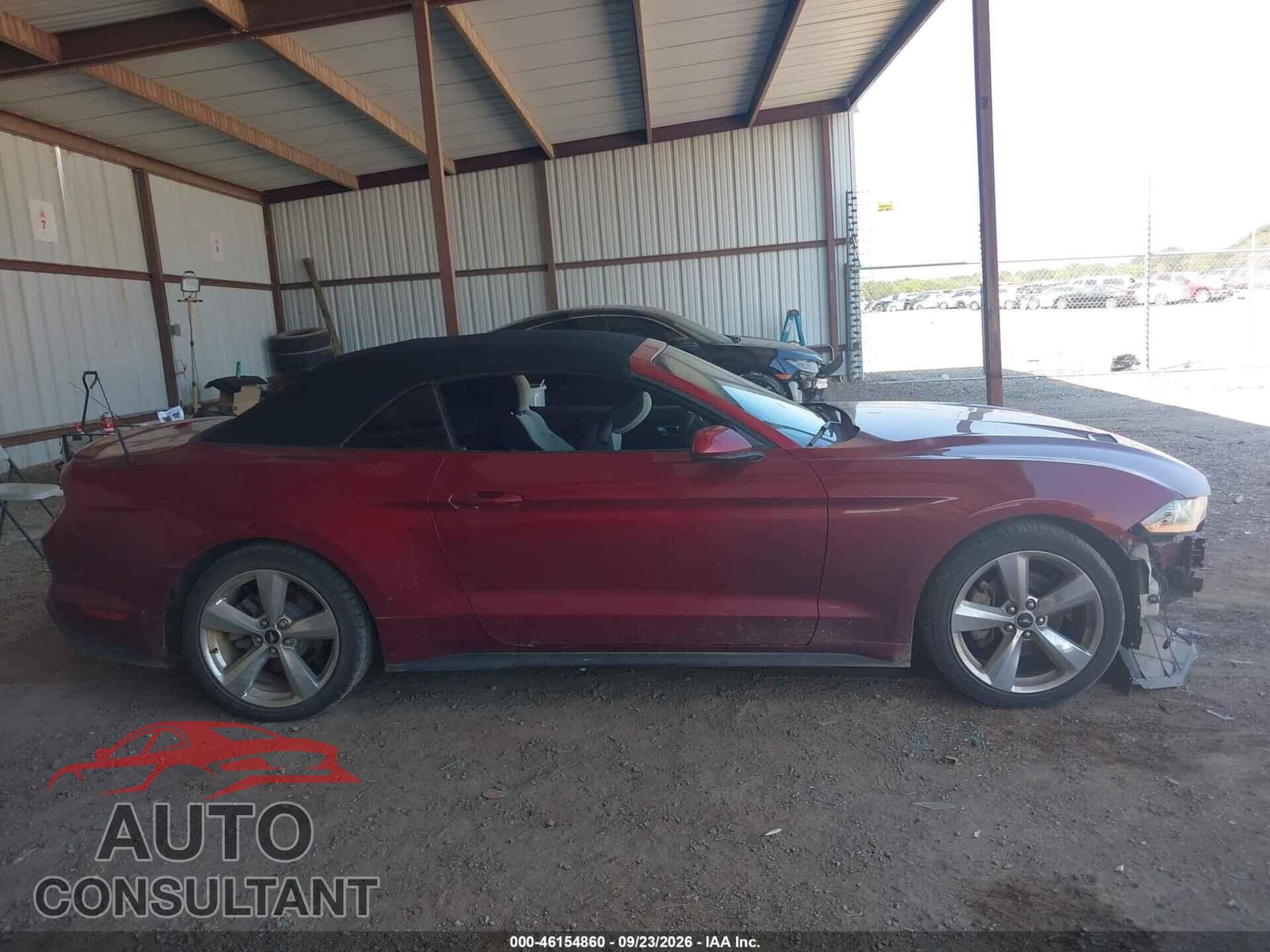 FORD MUSTANG 2019 - 1FATP8UH4K5163205