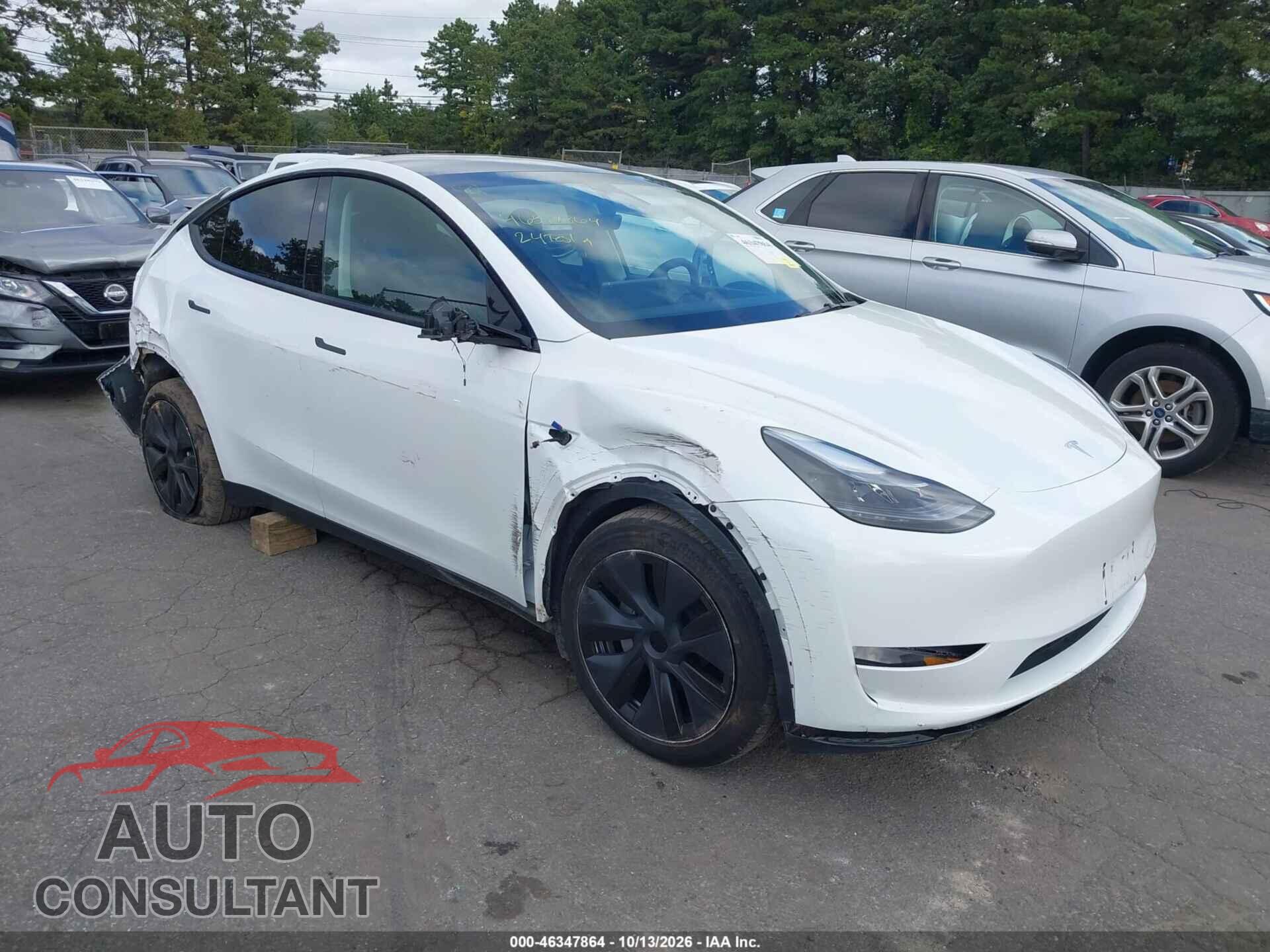 TESLA MODEL Y 2024 - 7SAYGDEE8RF183577