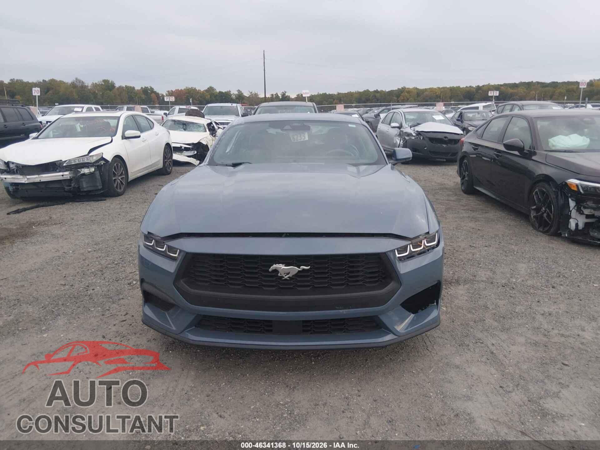 FORD MUSTANG 2024 - 1FA6P8TH9R5104451