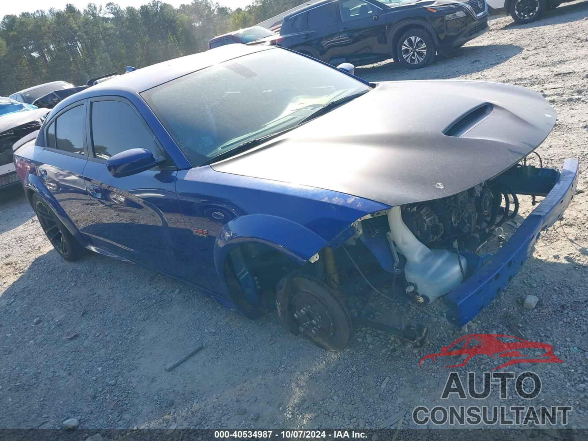 DODGE CHARGER 2021 - 2C3CDXGJ9MH597910