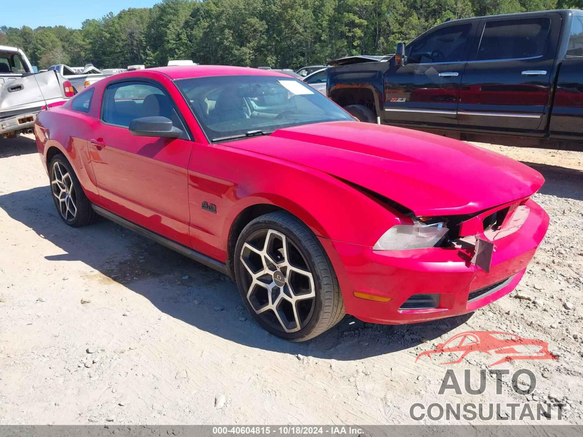 FORD MUSTANG 2010 - 1ZVBP8AN8A5136438