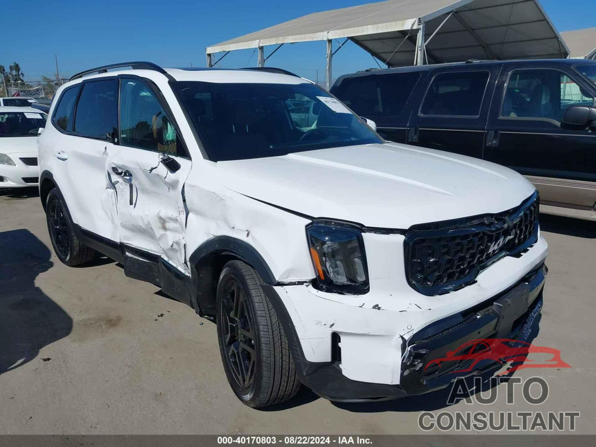 KIA TELLURIDE 2024 - 5XYP5DGC7RG524891