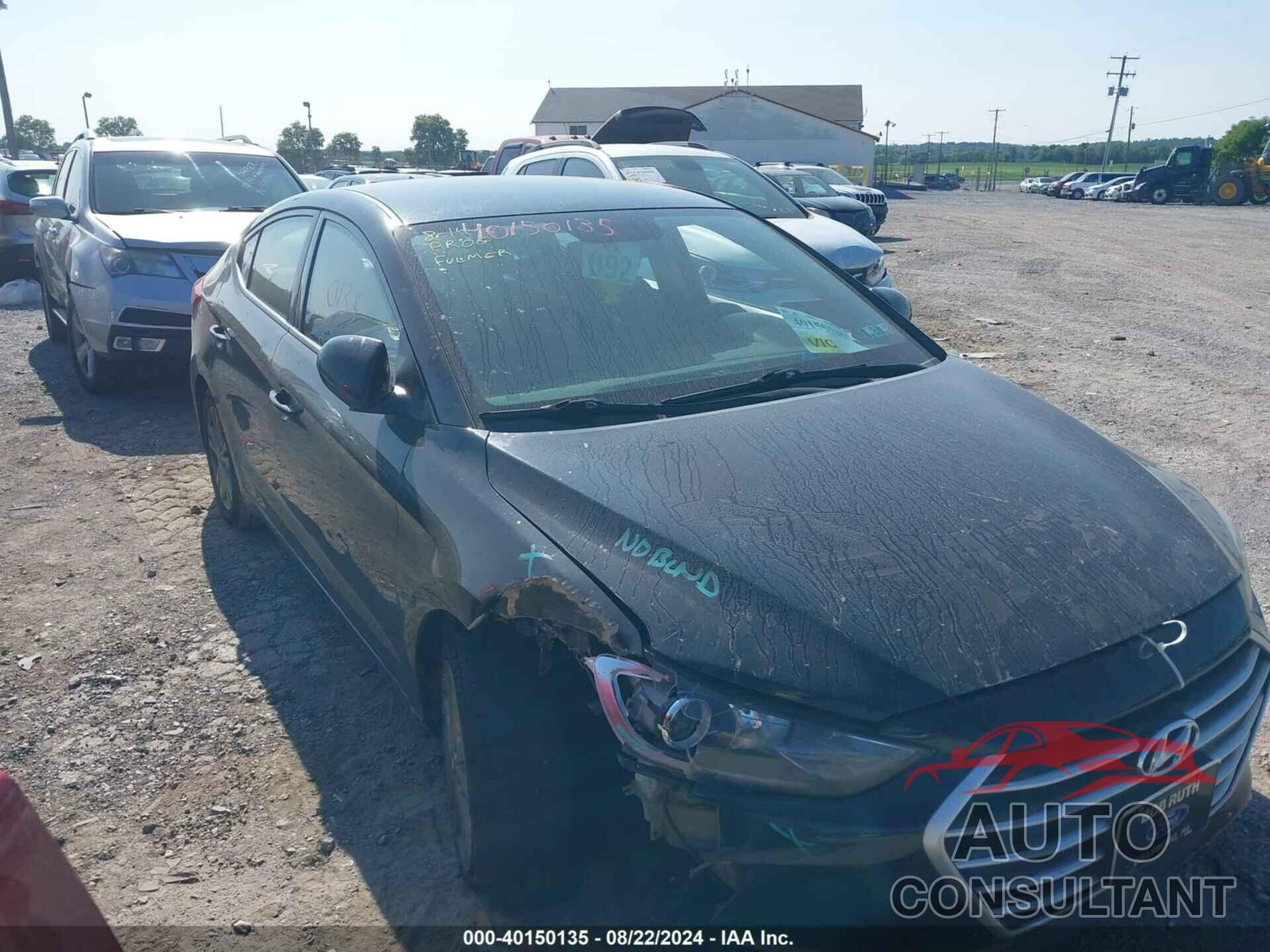 HYUNDAI ELANTRA 2017 - 5NPD84LF8HH034106