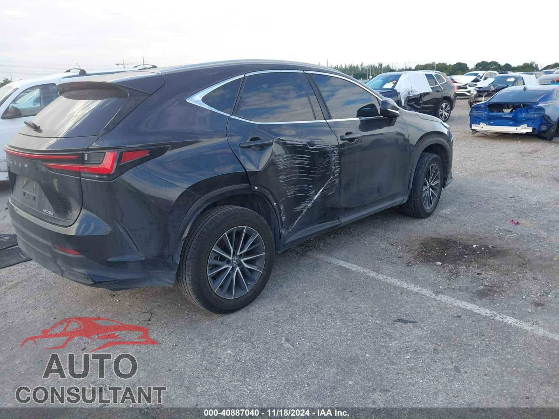 LEXUS NX 250 2023 - 2T2ADCAZ2PC005669