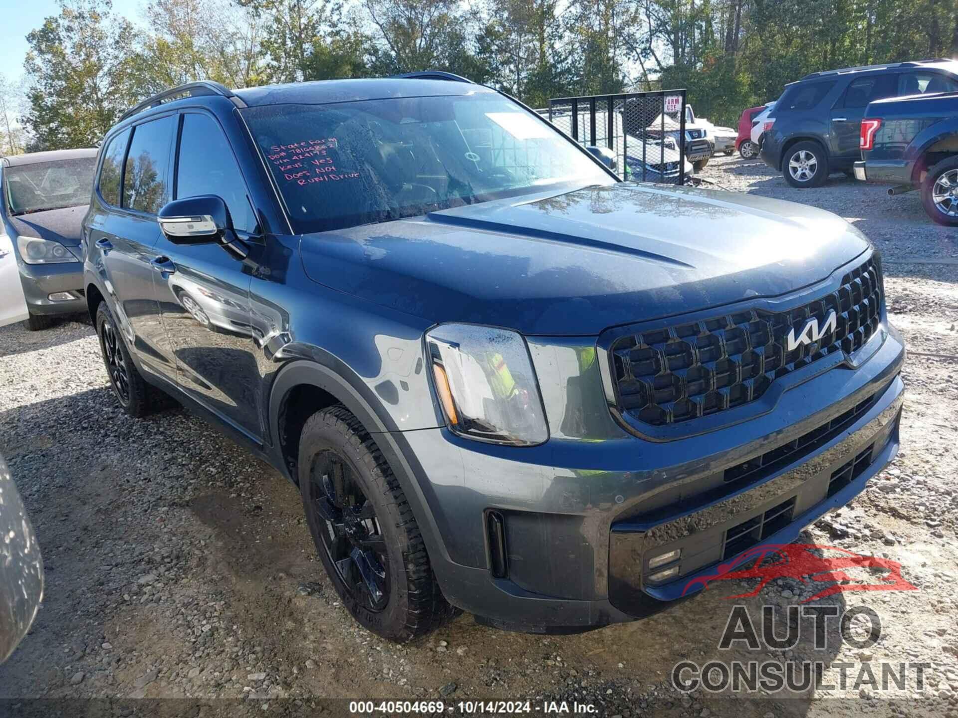 KIA TELLURIDE 2024 - 5XYP5DGC3RG424173