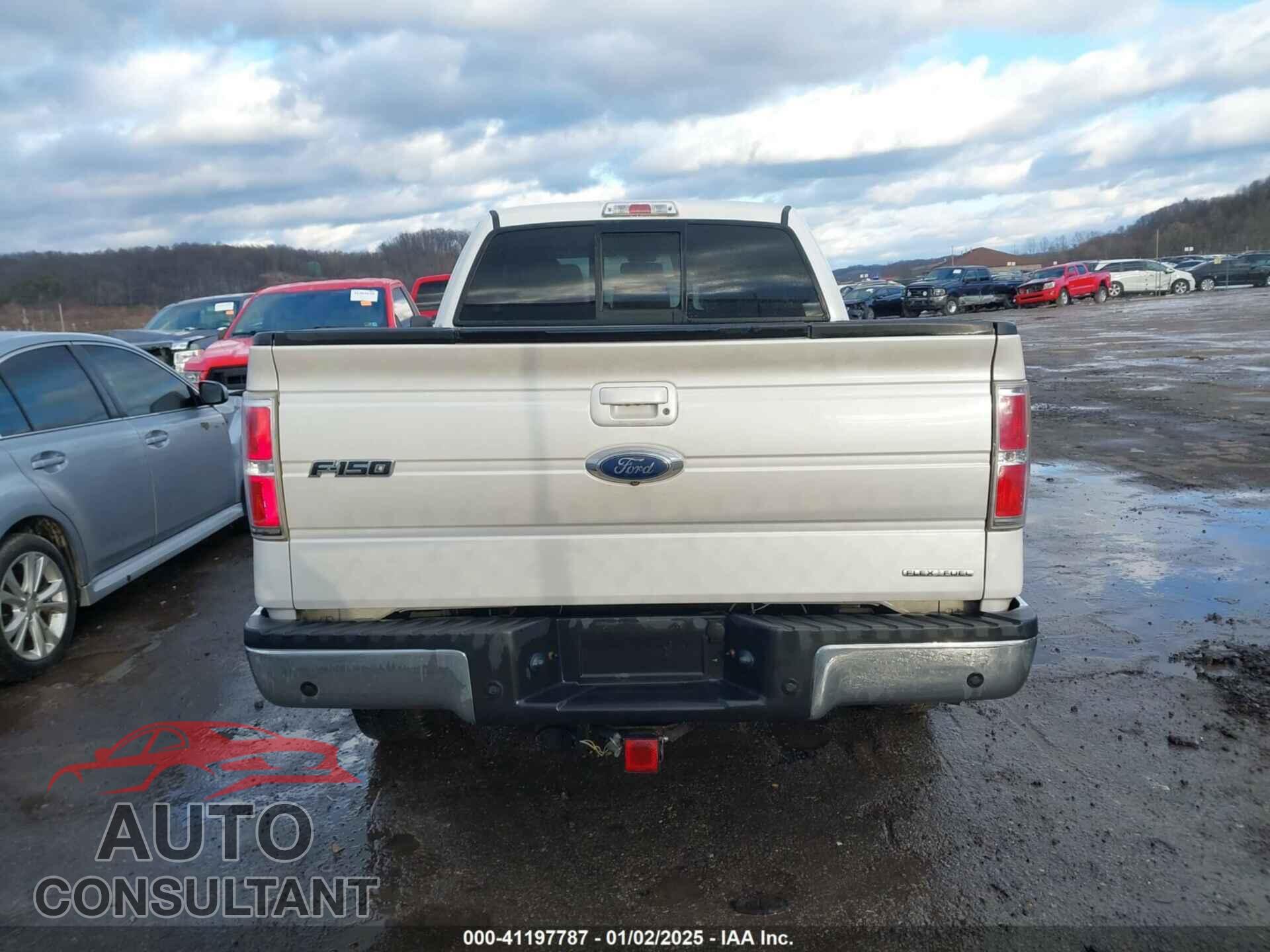 FORD F-150 2012 - 1FTFX1EF4CFA94068