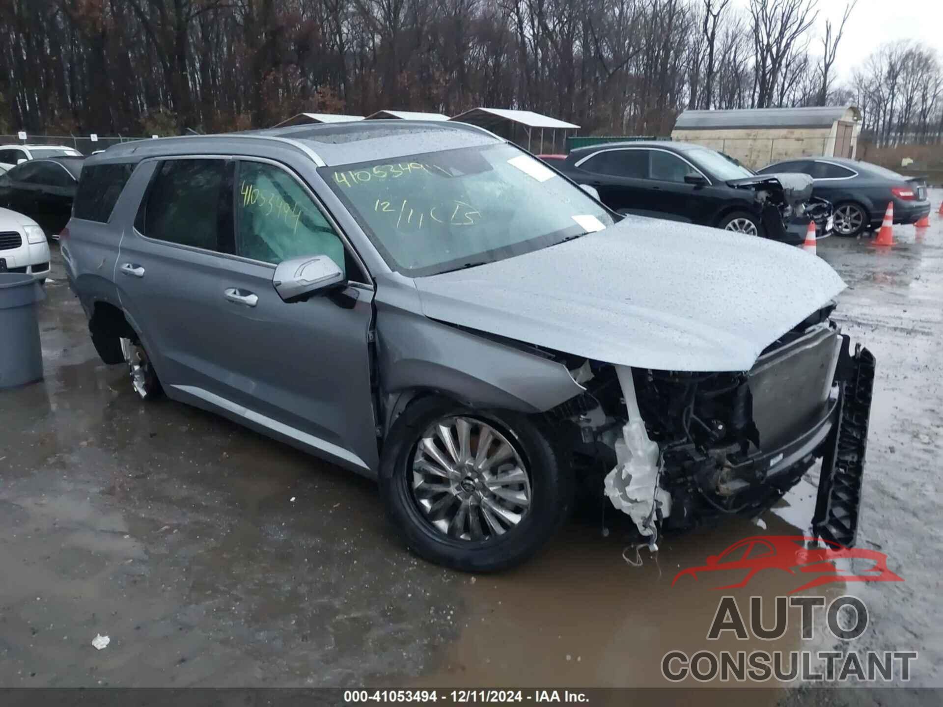 HYUNDAI PALISADE 2020 - KM8R5DHE4LU086809
