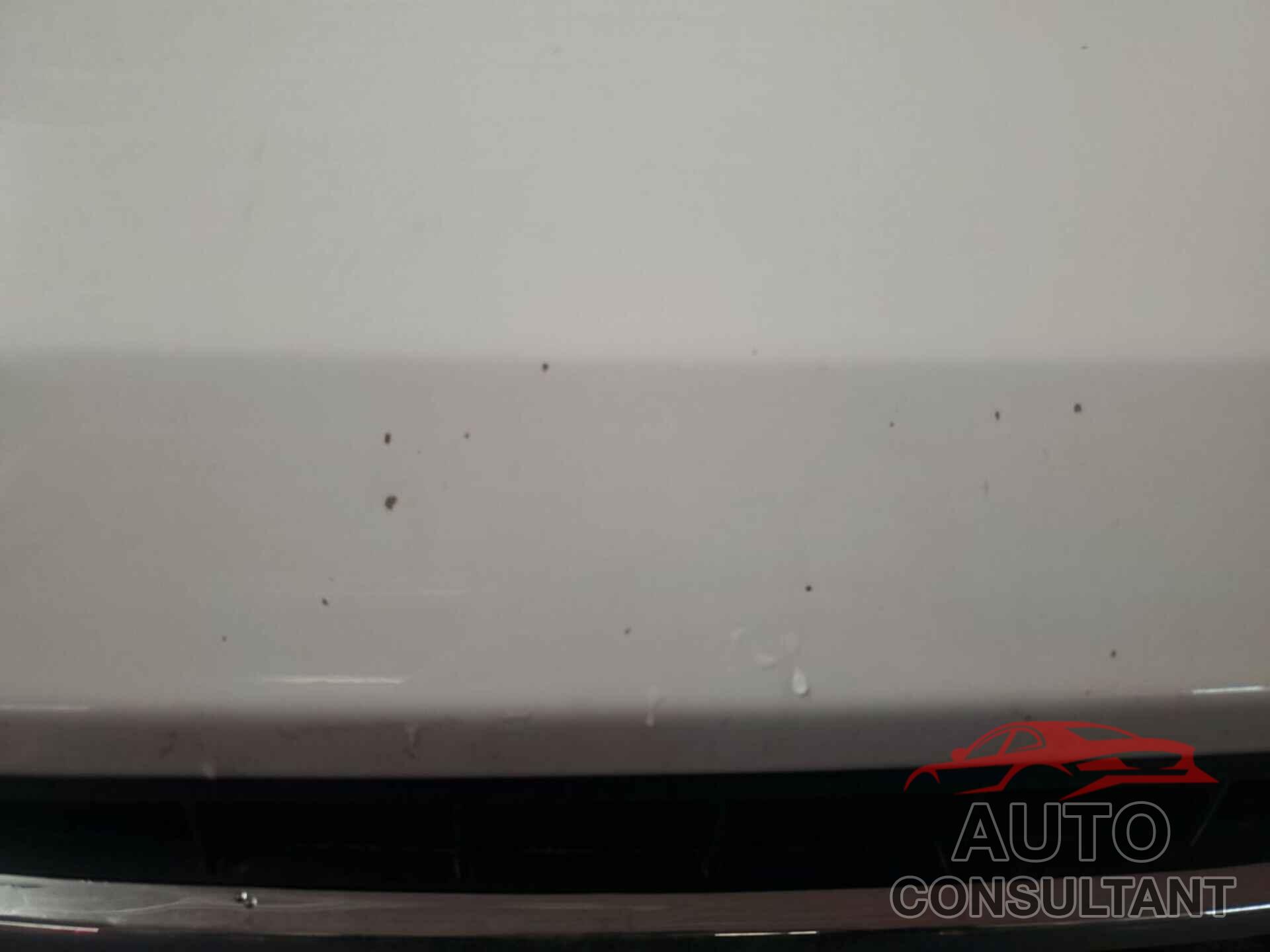 FORD F150 2019 - 1FTFX1C46KKE41438