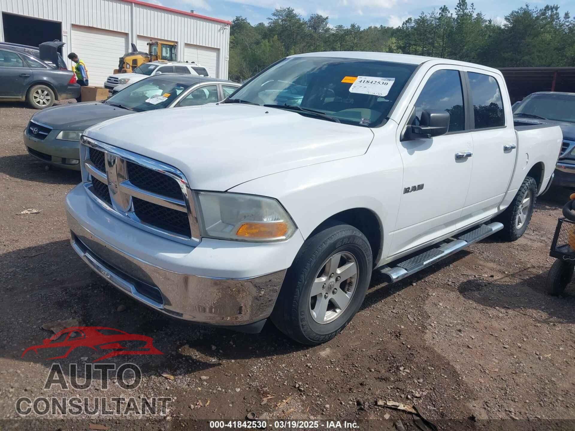 DODGE RAM 1500 2010 - 1D7RB1CP7AS155995