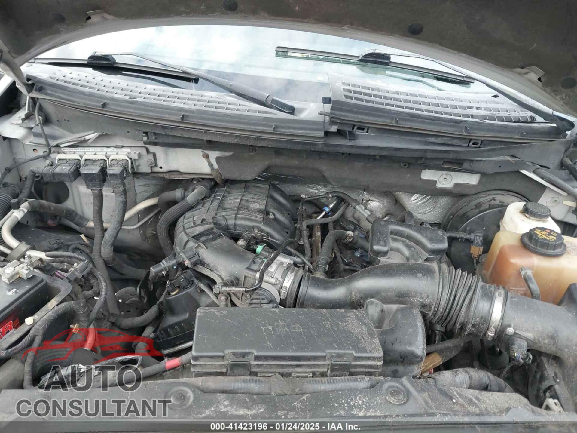 FORD F-150 2011 - 1FTMF1CM6BFC63243