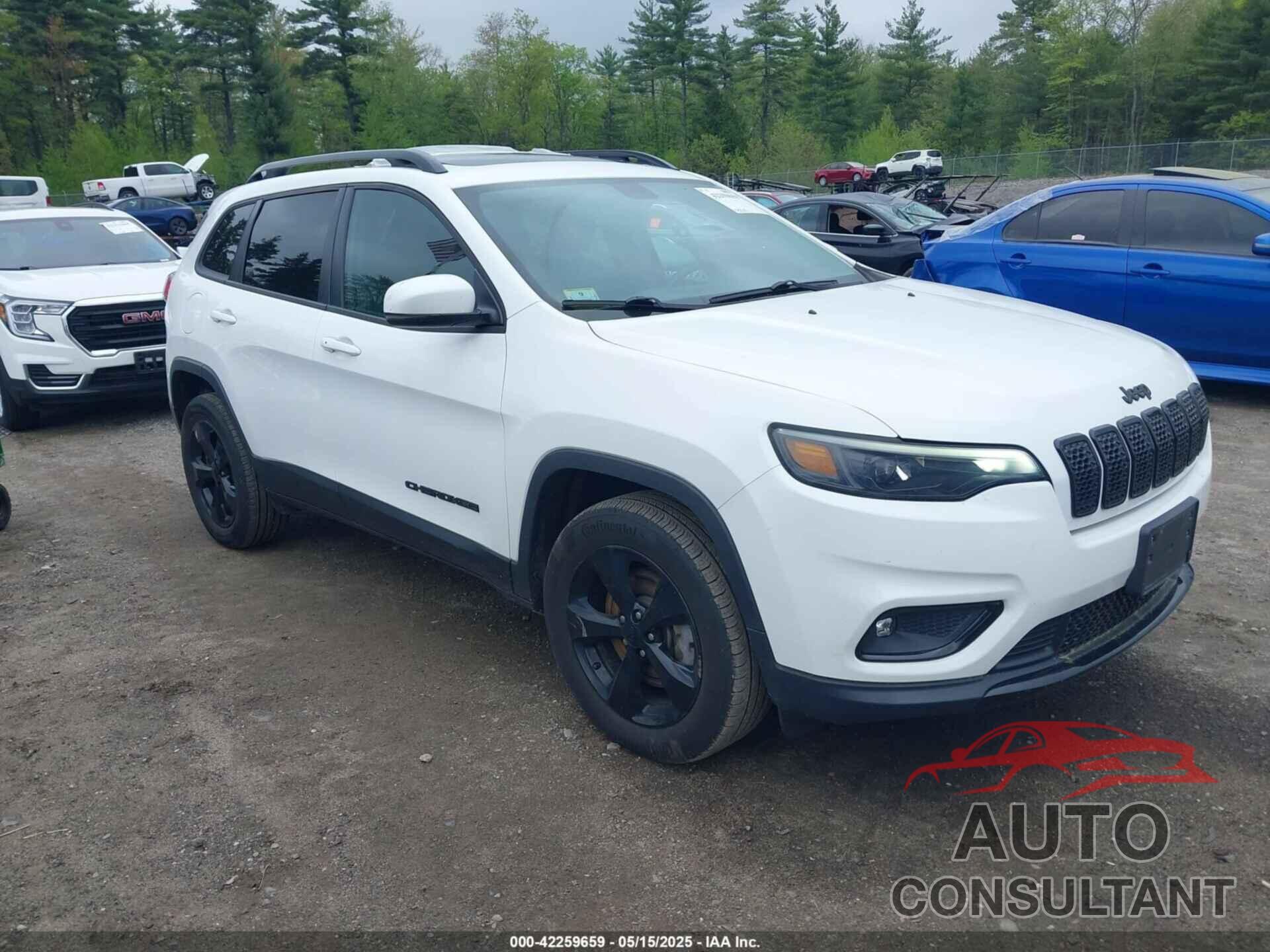 JEEP CHEROKEE 2019 - 1C4PJMLB8KD320467