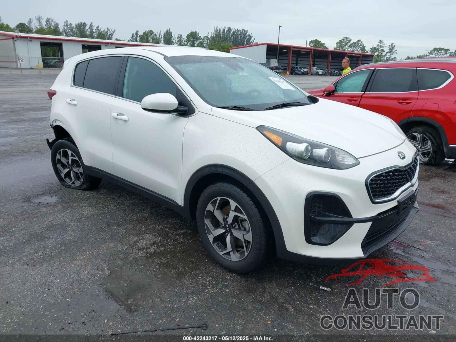 KIA SPORTAGE 2022 - KNDPM3AC4N7981610