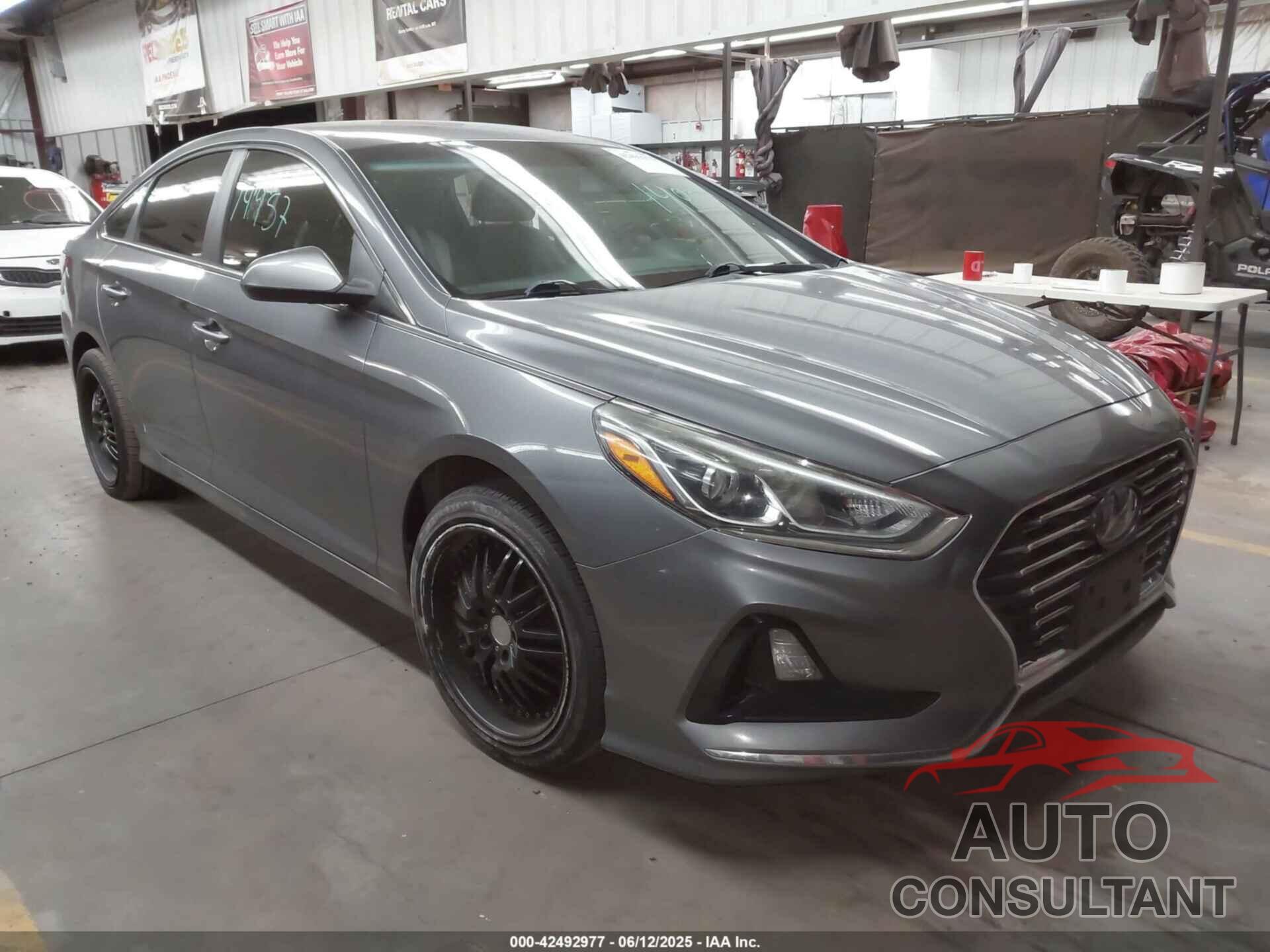 HYUNDAI SONATA 2019 - 5NPE24AF4KH781542