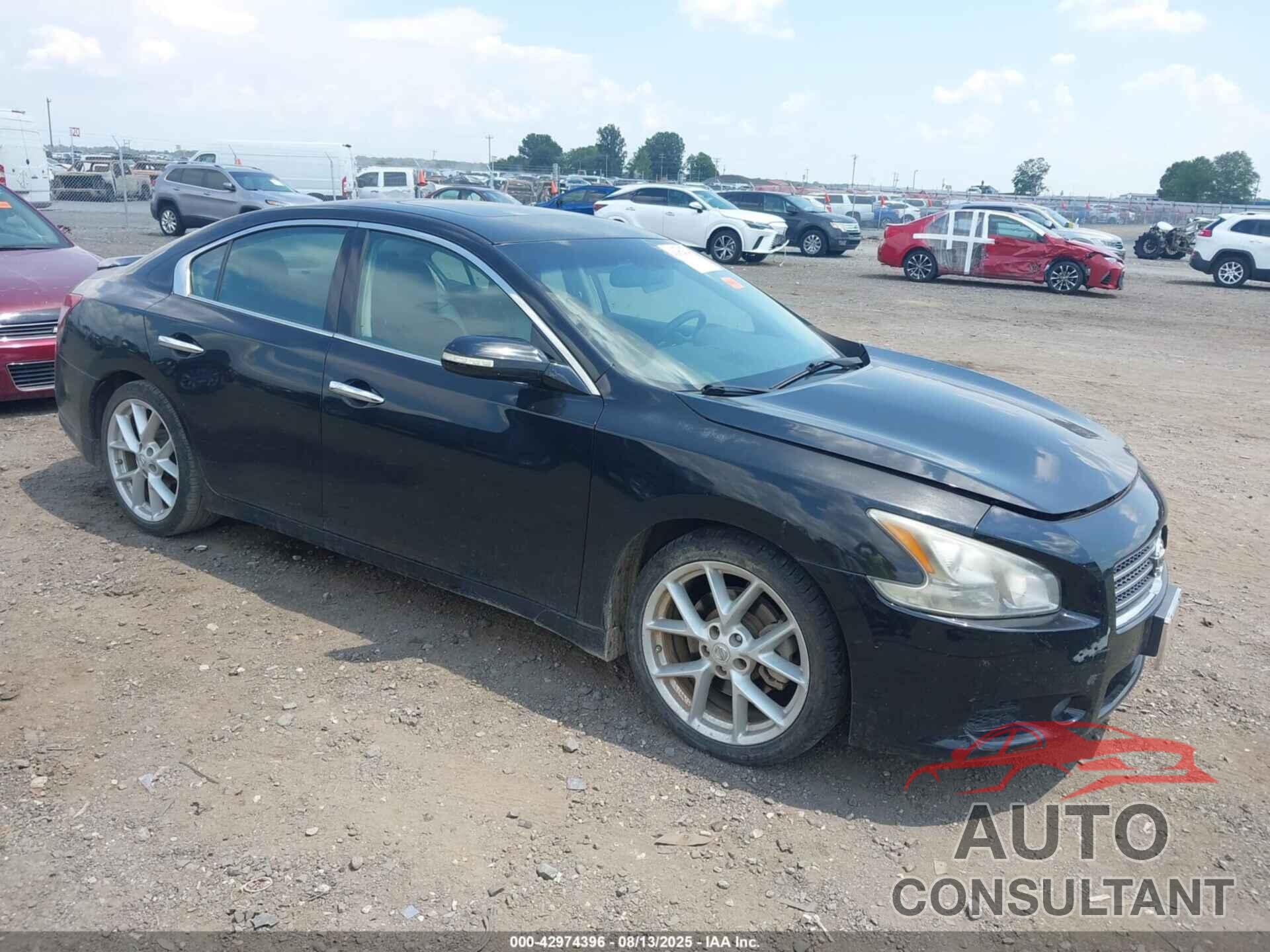 NISSAN MAXIMA 2009 - 1N4AA51EX9C856187