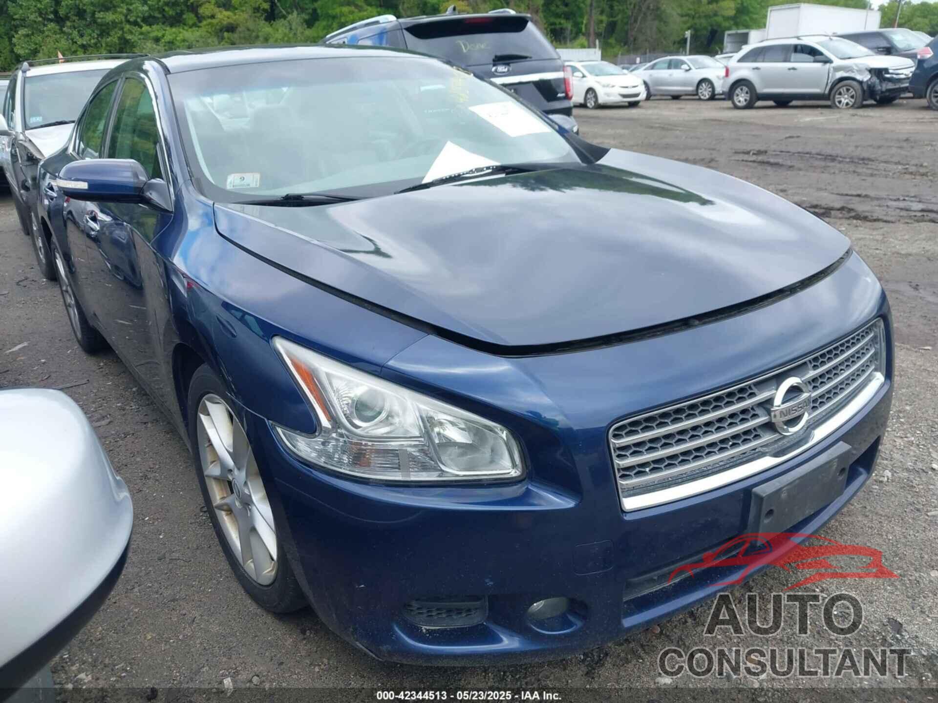 NISSAN MAXIMA 2009 - 1N4AA51E49C813044