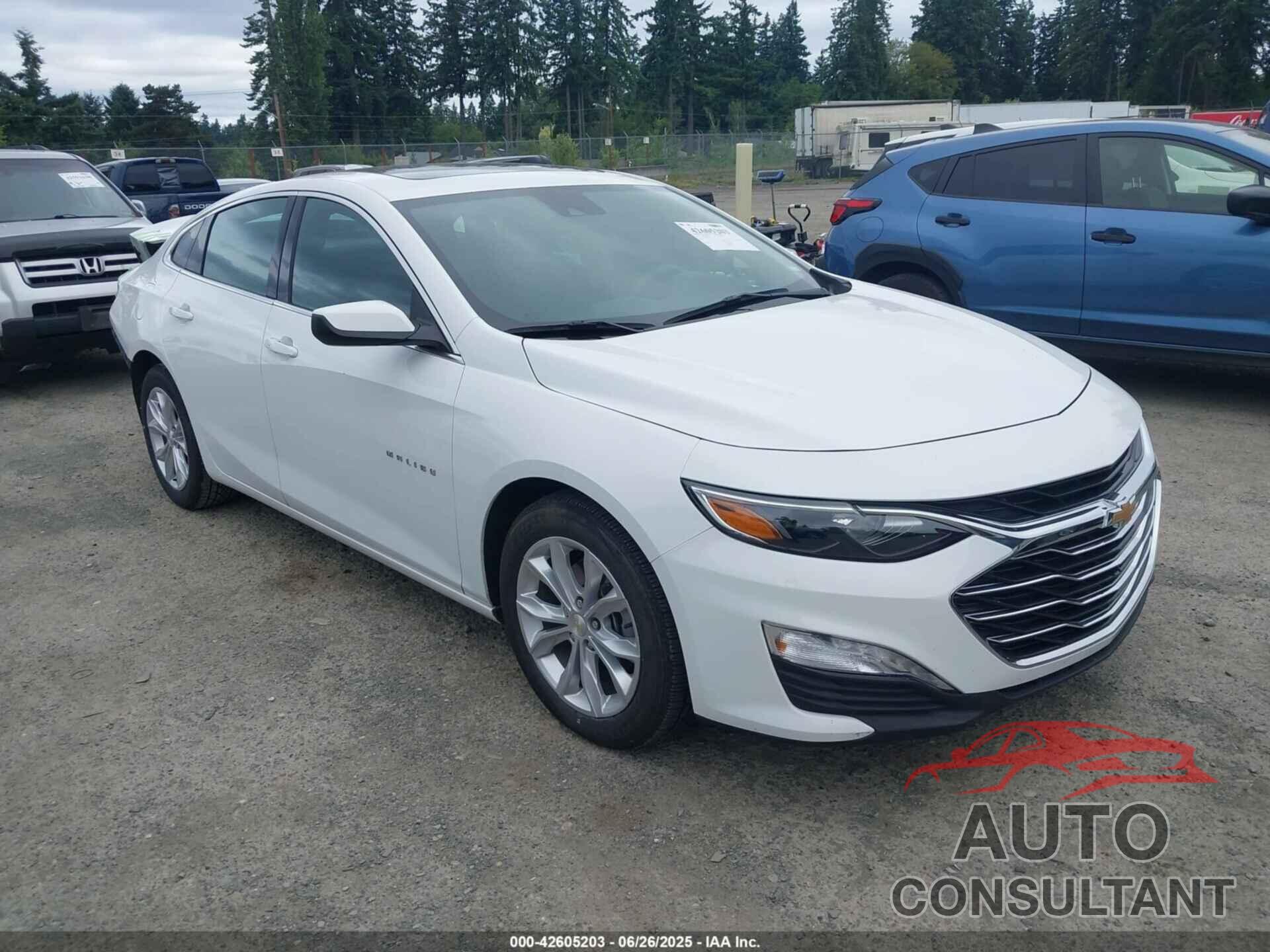 CHEVROLET MALIBU 2024 - 1G1ZD5ST8RF124925
