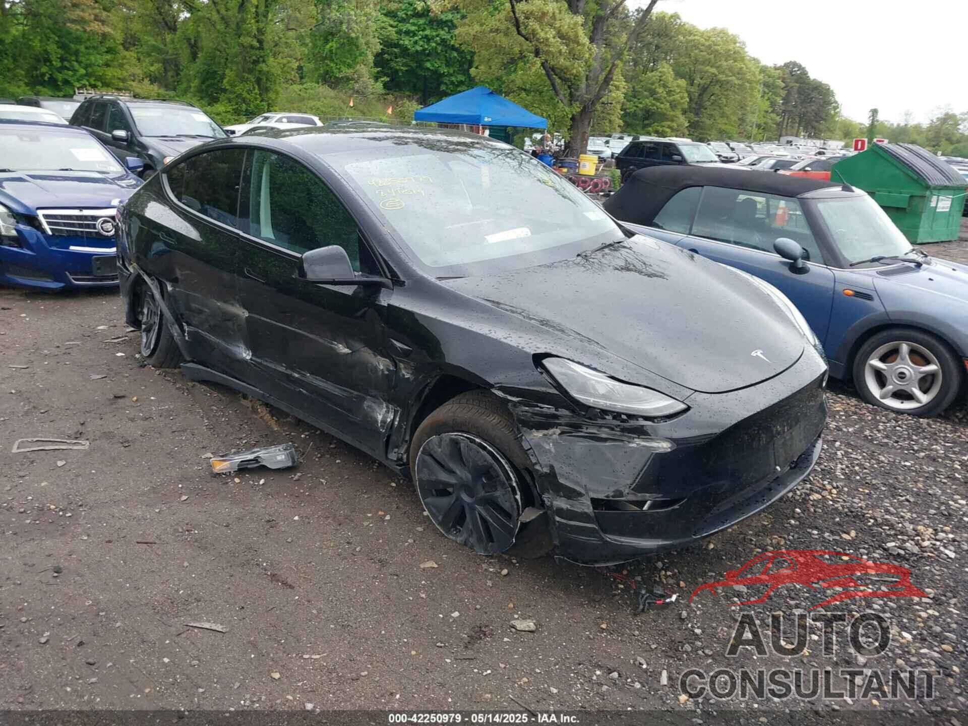 TESLA MODEL Y 2024 - 7SAYGDEE5RF130335