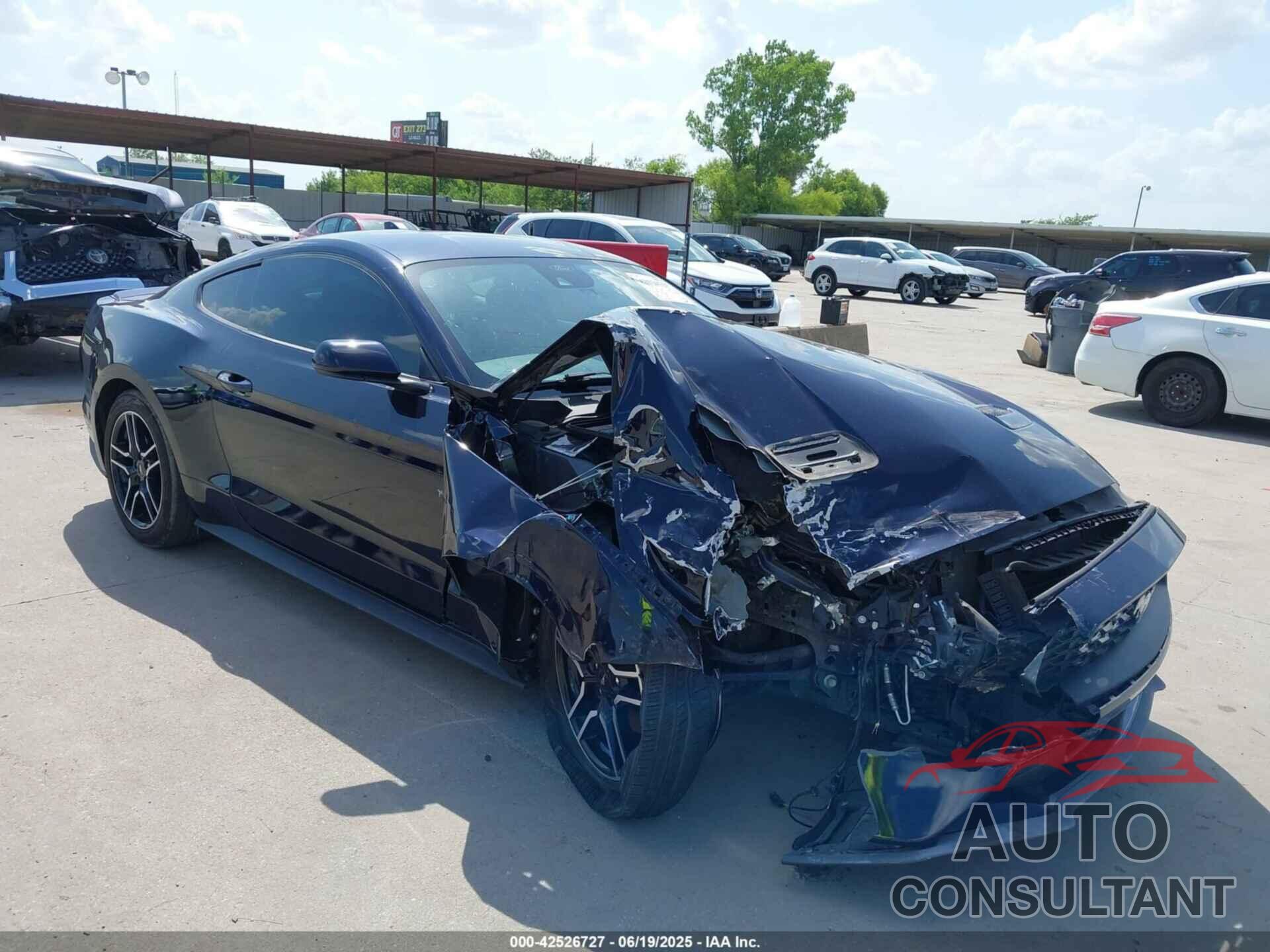 FORD MUSTANG 2021 - 1FA6P8TH7M5134461