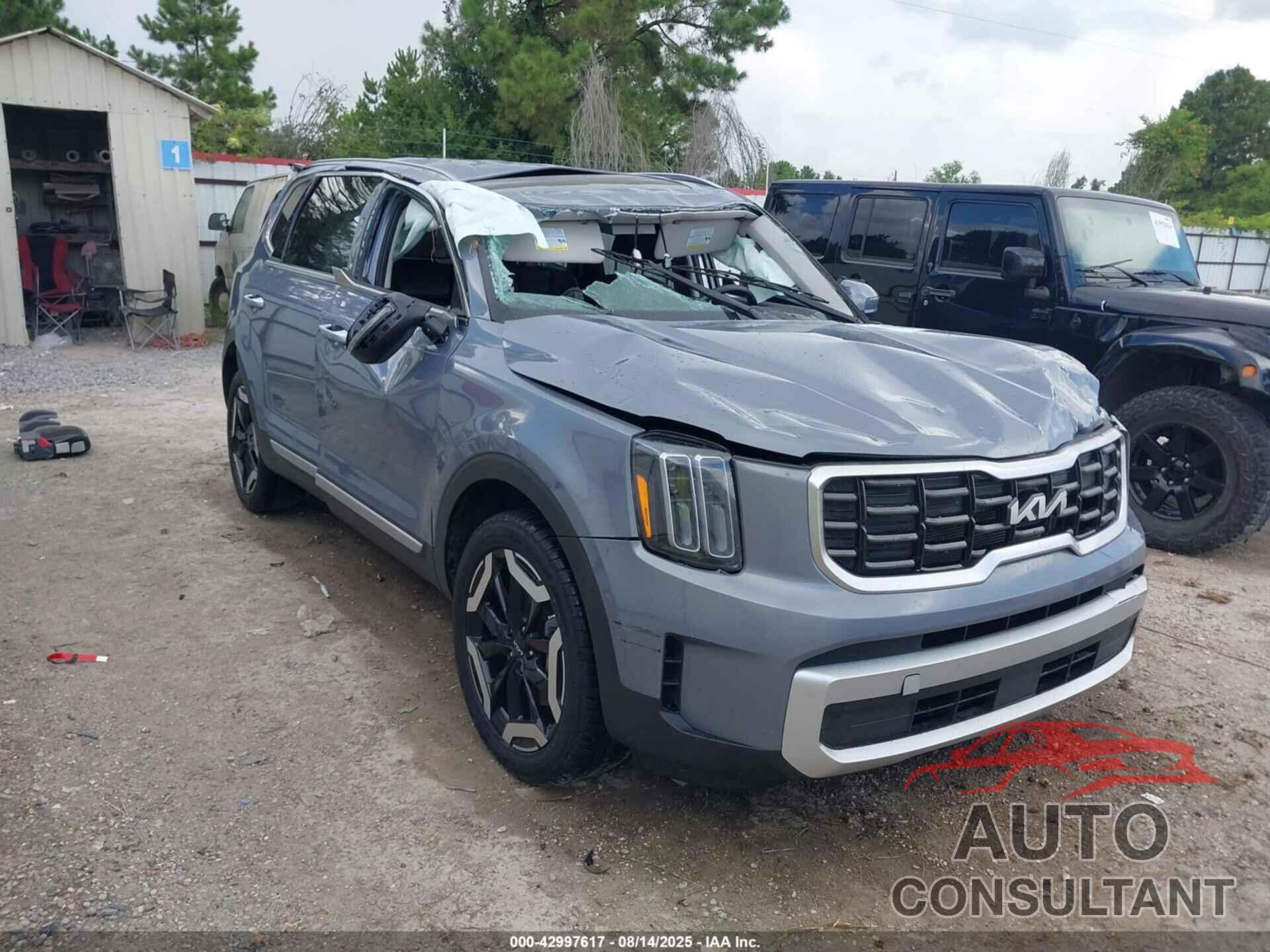 KIA TELLURIDE 2024 - 5XYP64GC3RG519393