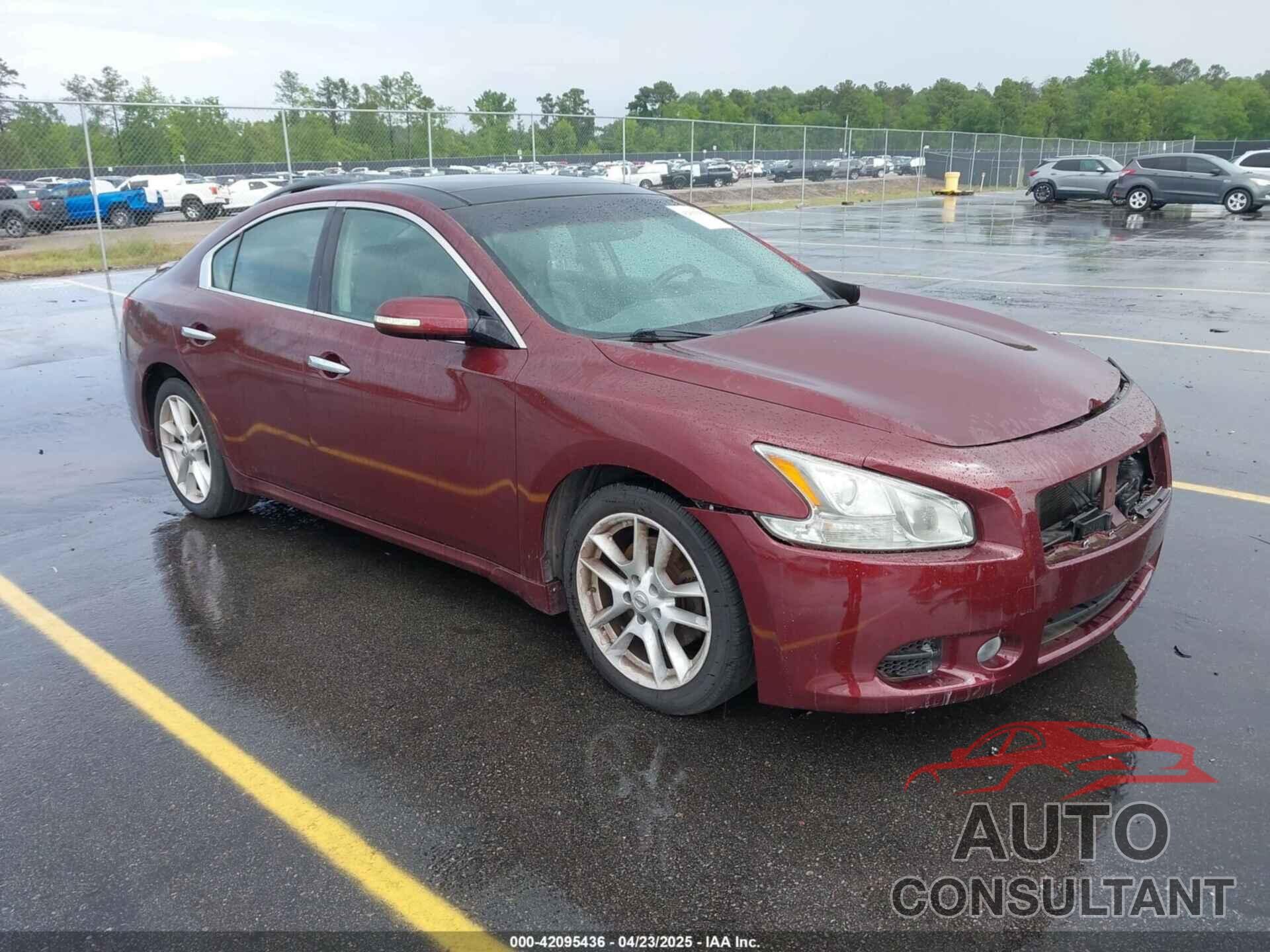 NISSAN MAXIMA 2010 - 1N4AA5AP7AC809317