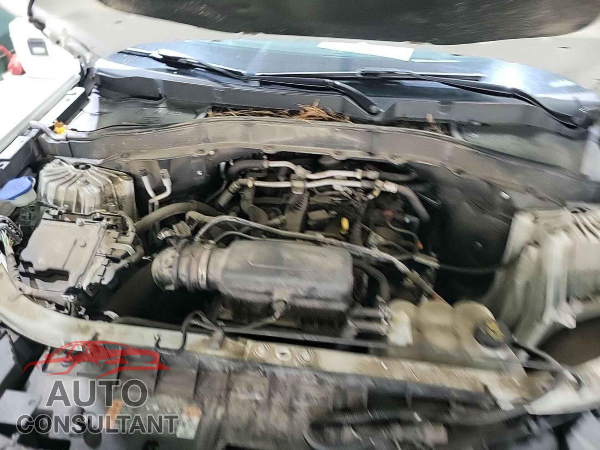 FORD EXPLORER 2021 - 1FMSK8DH8MGA87642