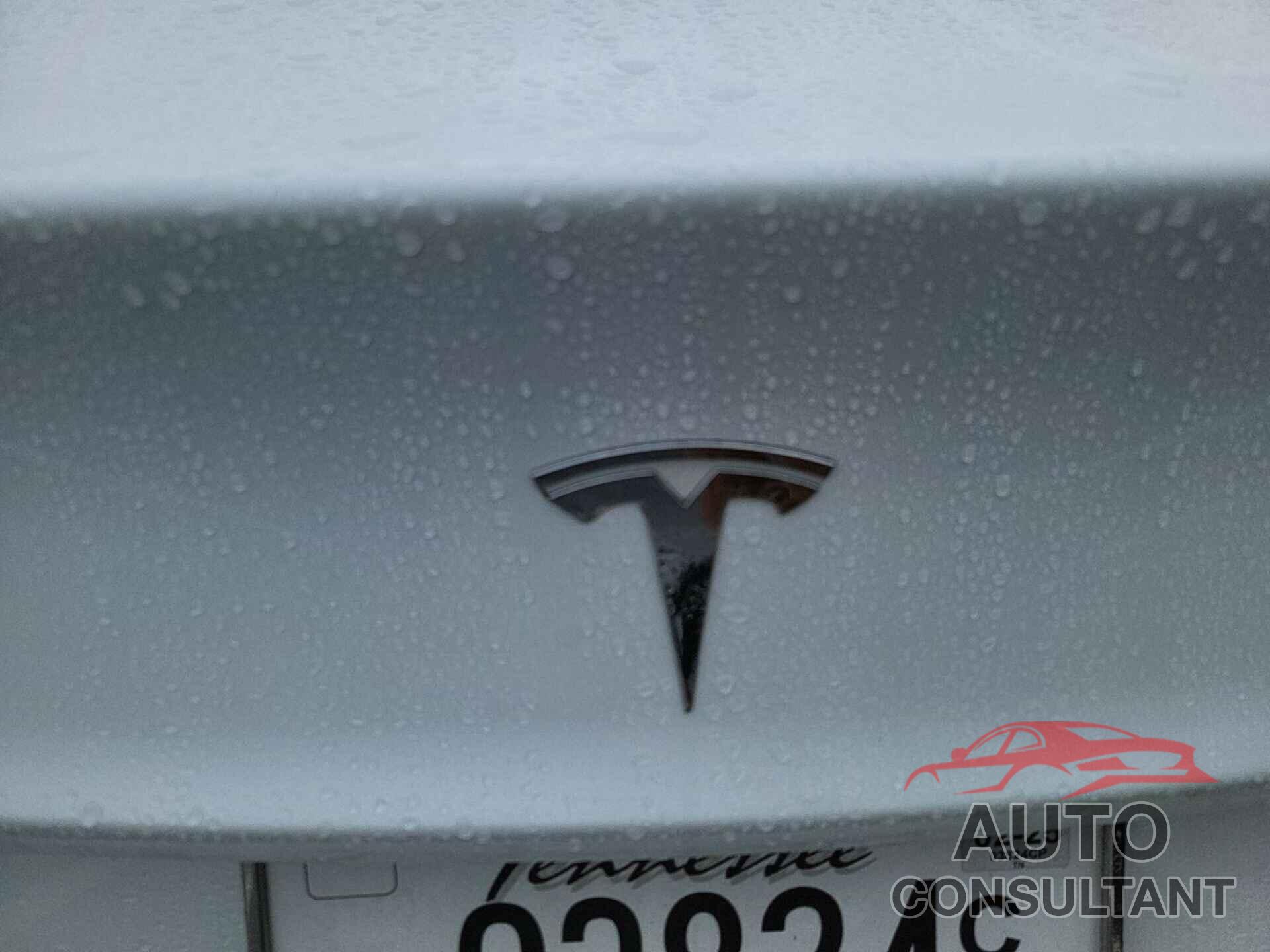 TESLA MODEL 3 2020 - 5YJ3E1EB7LF800959