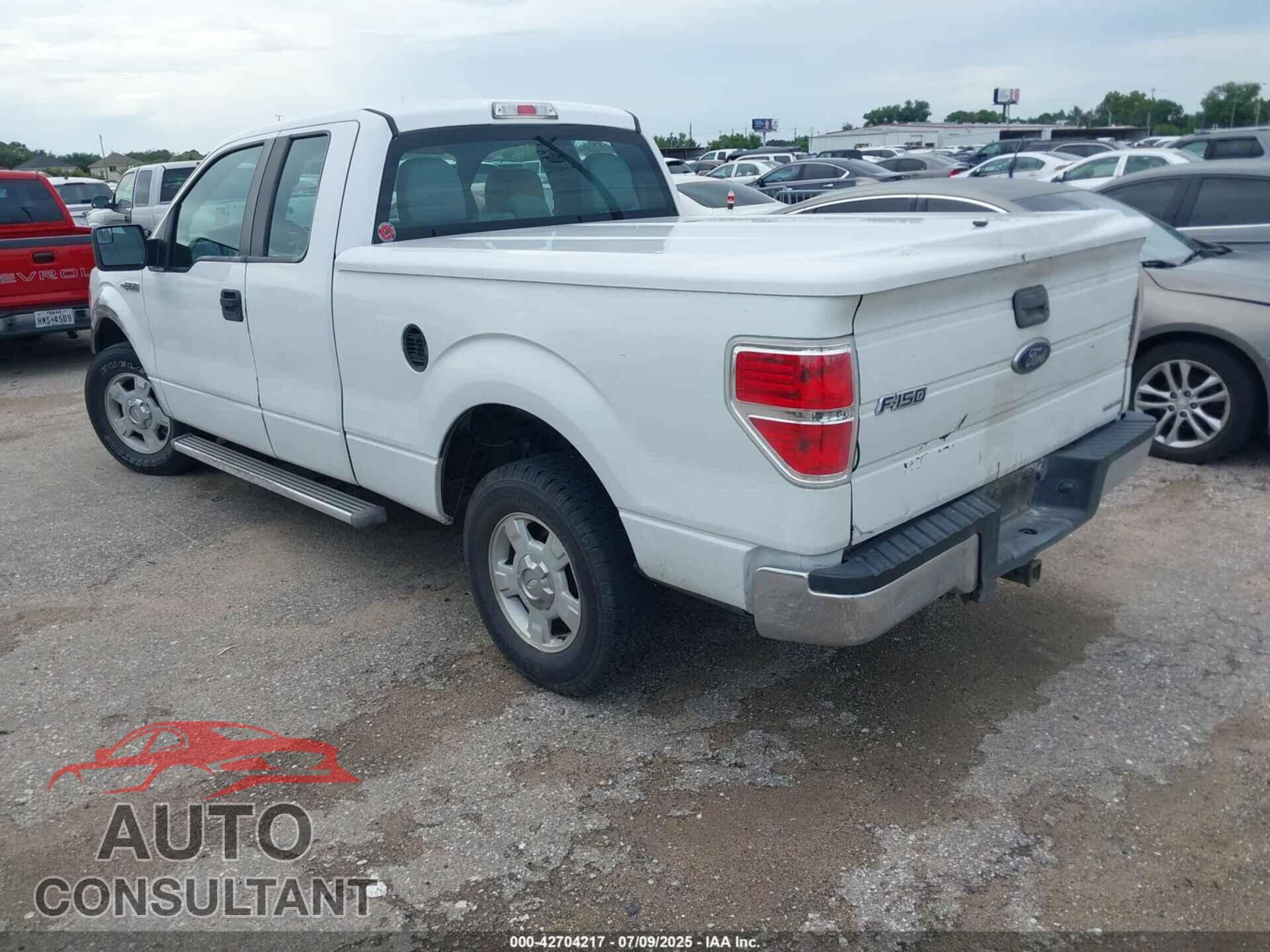 FORD F-150 2013 - 1FTFX1CF8DFC64551