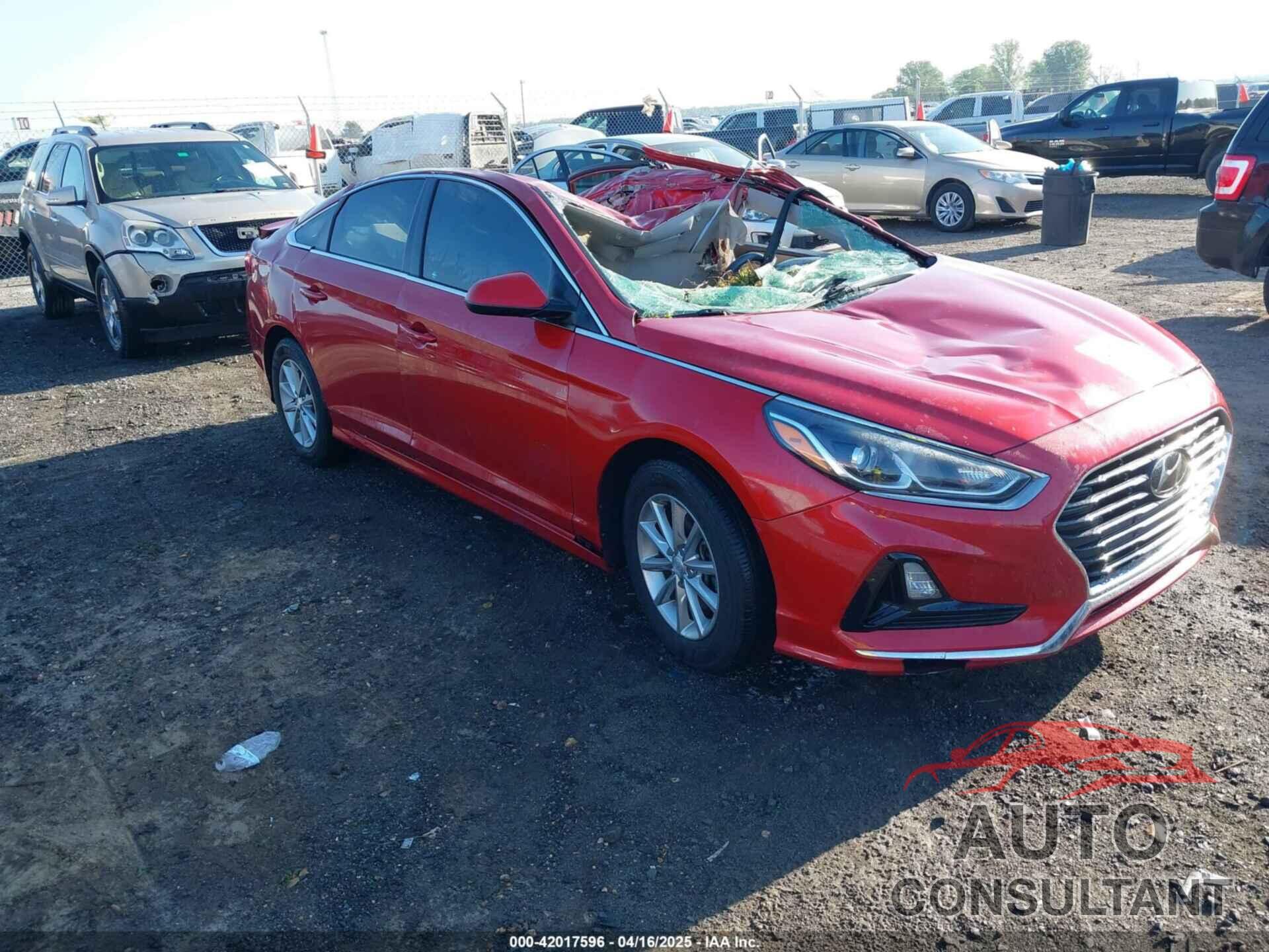HYUNDAI SONATA 2019 - 5NPE24AF7KH740256