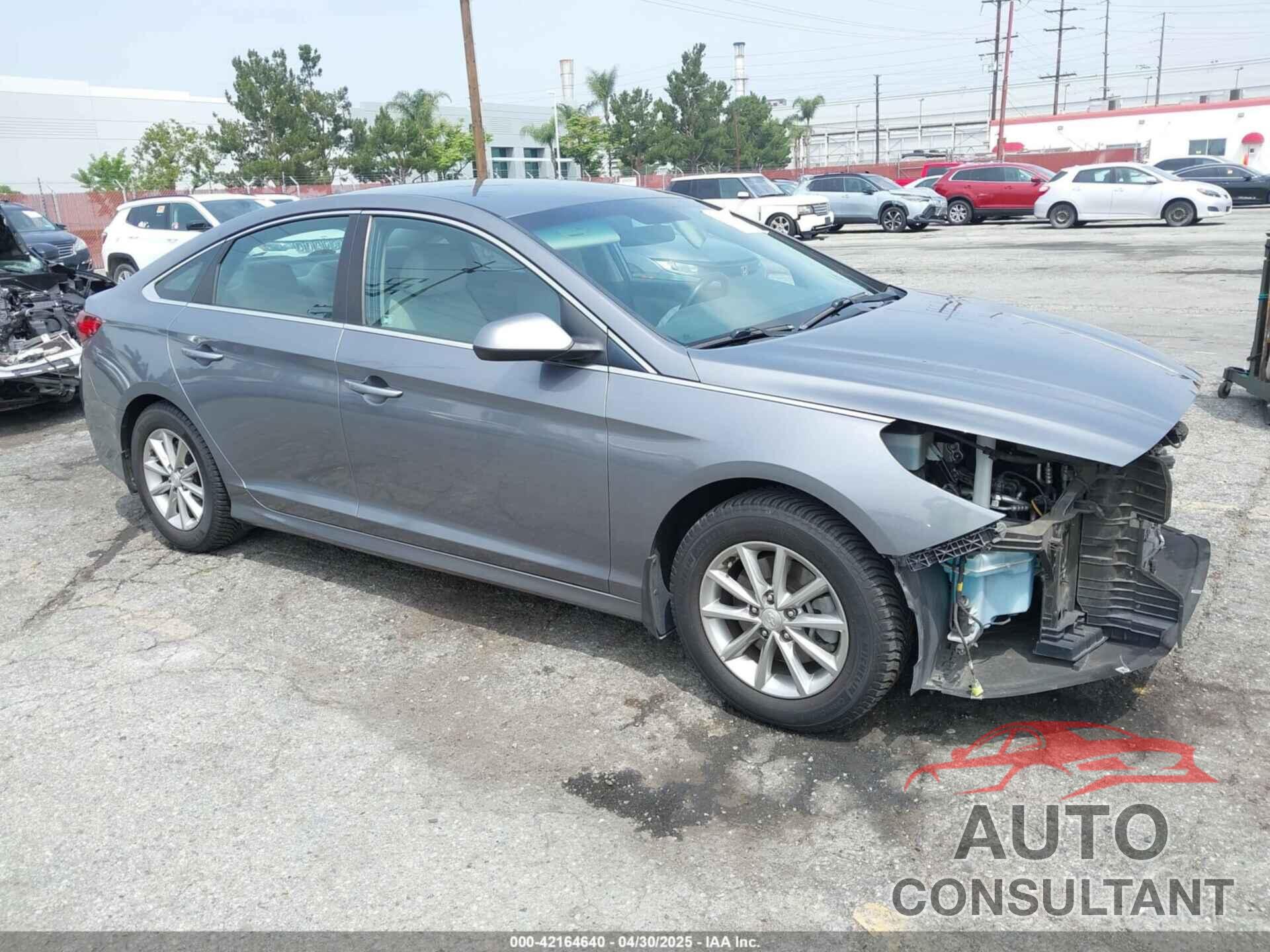 HYUNDAI SONATA 2019 - 5NPE24AFXKH814401