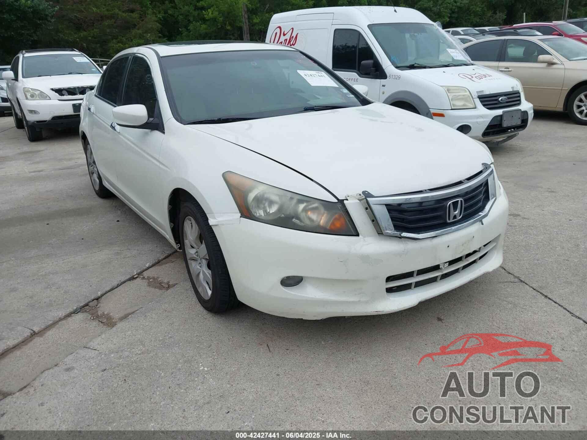 HONDA ACCORD 2010 - 1HGCP3F89AA006691