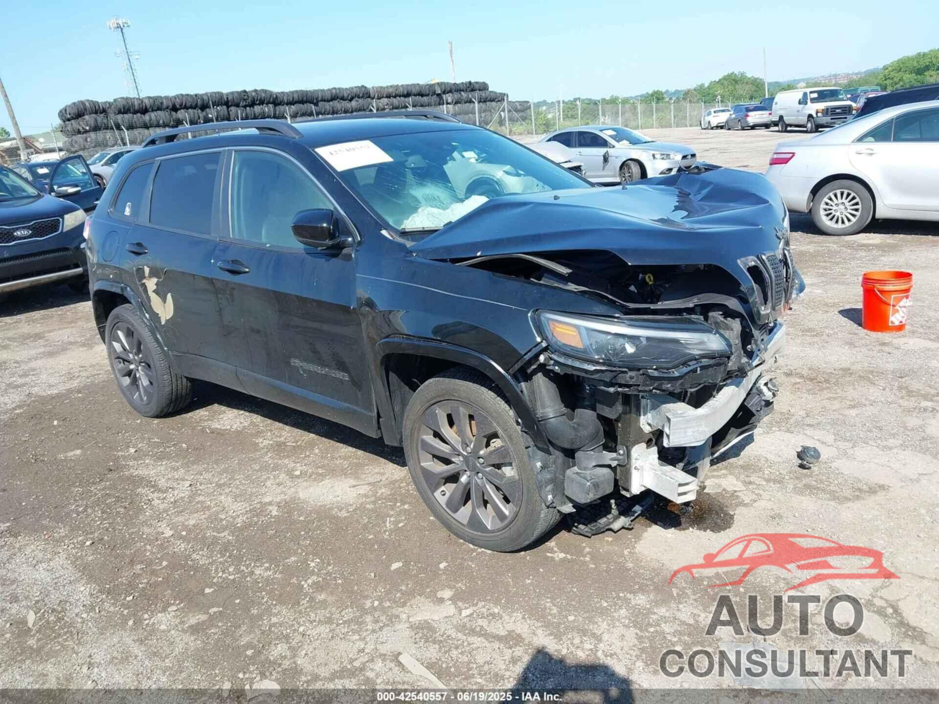 JEEP CHEROKEE 2021 - 1C4PJMDN8MD132074