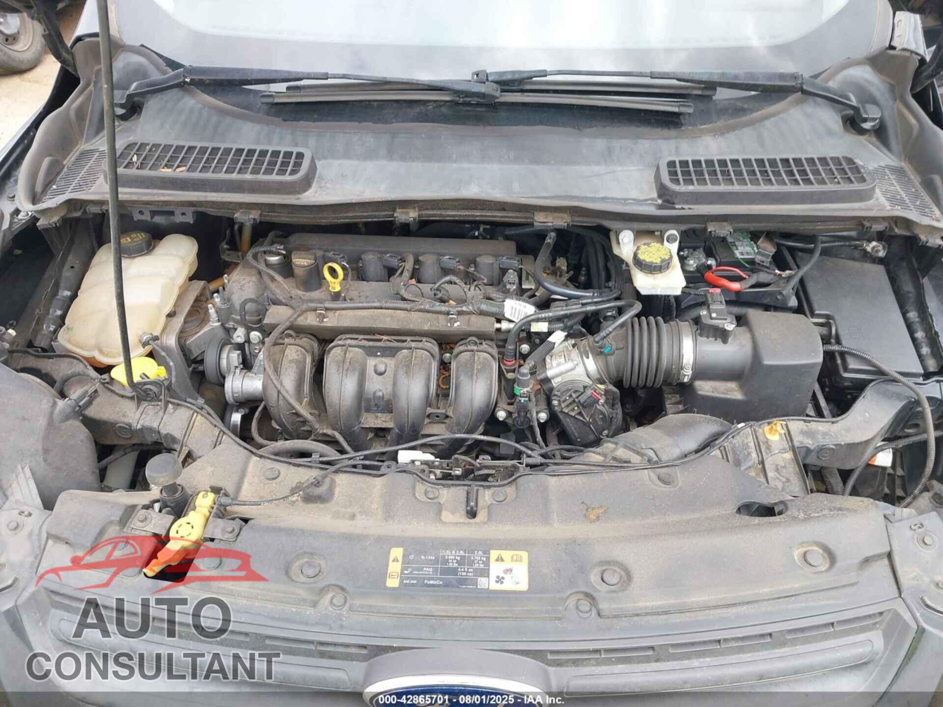 FORD ESCAPE 2016 - 1FMCU0F75GUB14841
