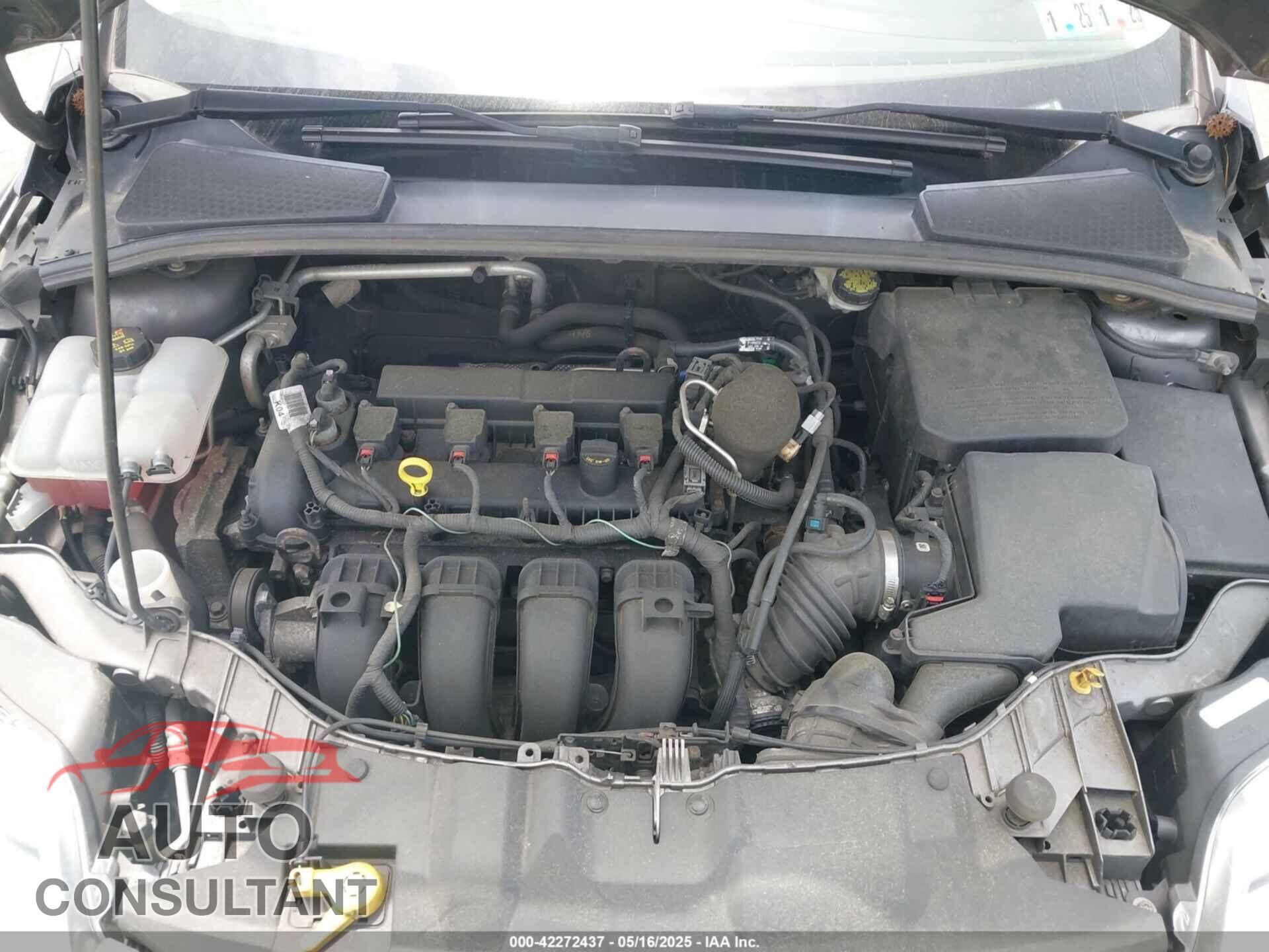FORD FOCUS 2014 - 1FADP3F26EL424544