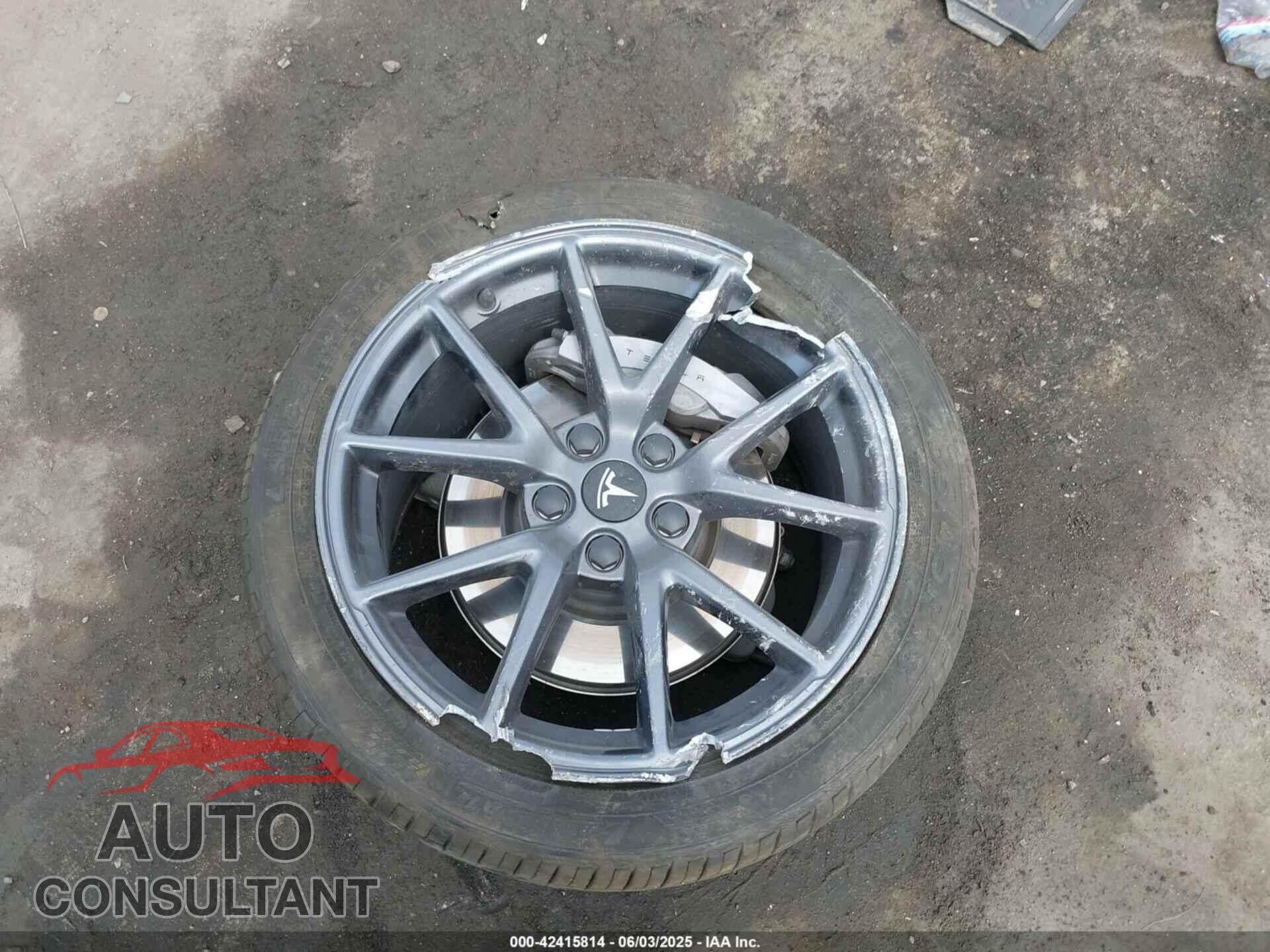 TESLA MODEL 3 2021 - 5YJ3E1EA3MF921206