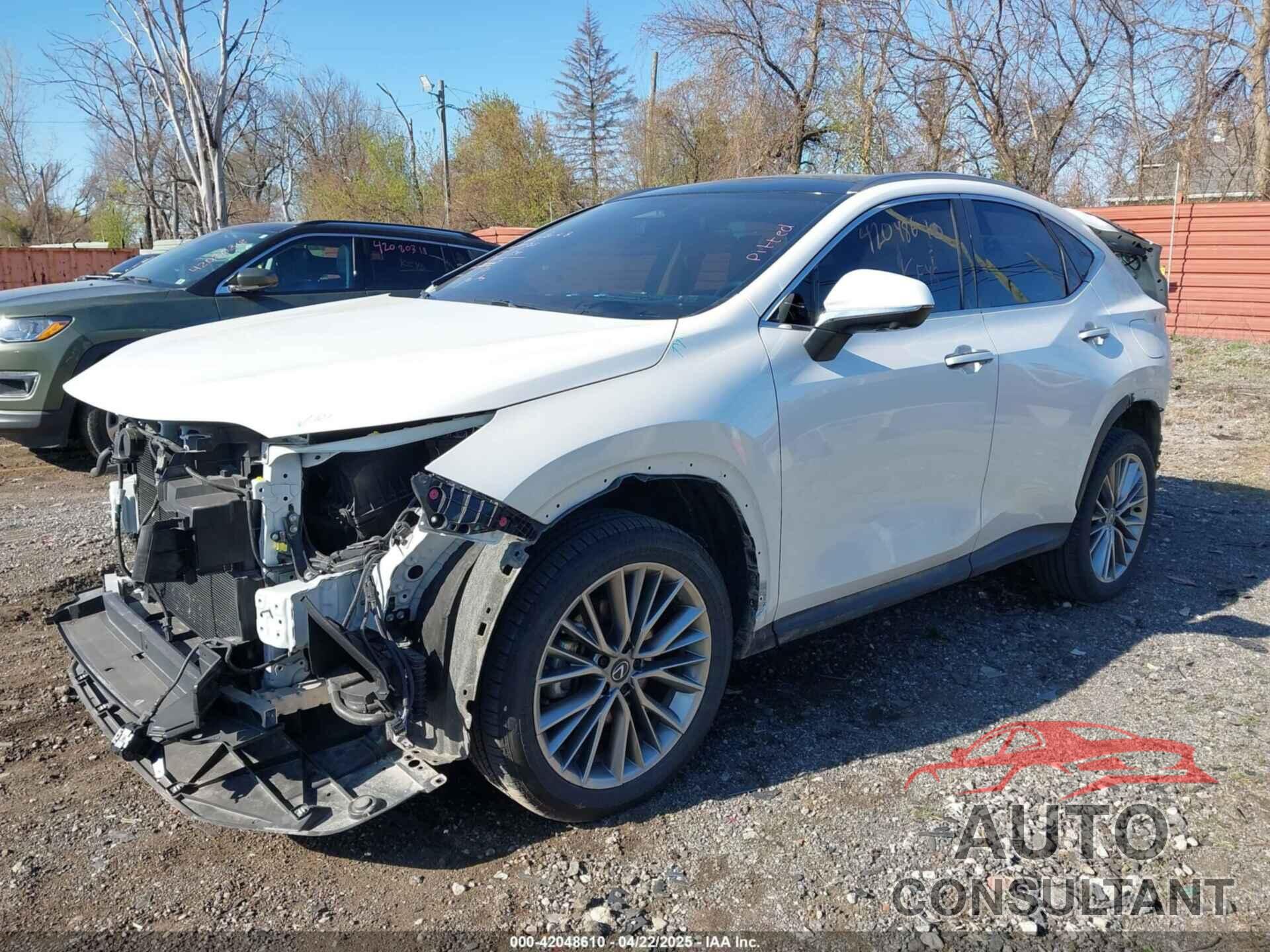 LEXUS NX 350H 2024 - JTJHKCEZ0R2038512