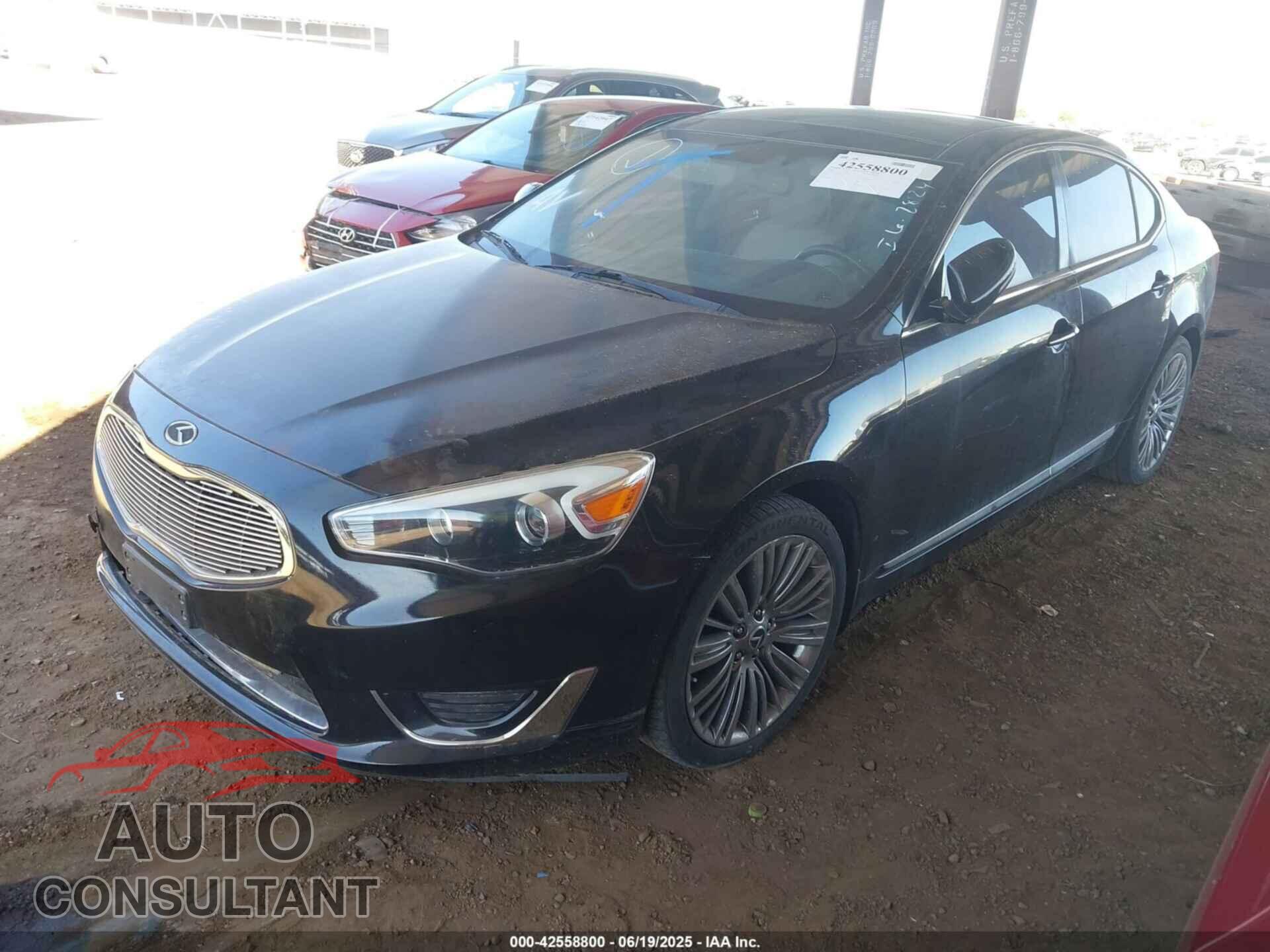 KIA CADENZA 2014 - KNALN4D77E5155262