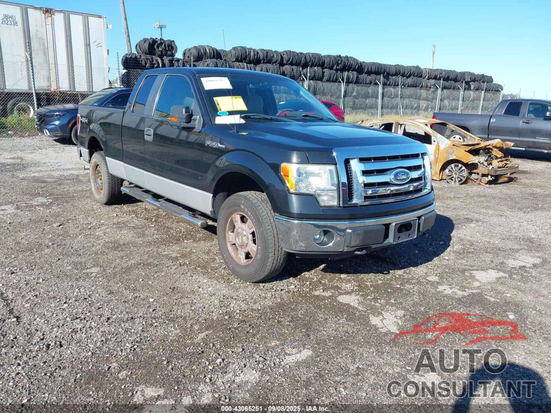 FORD F-150 2010 - 1FTFX1EVXAFA83175