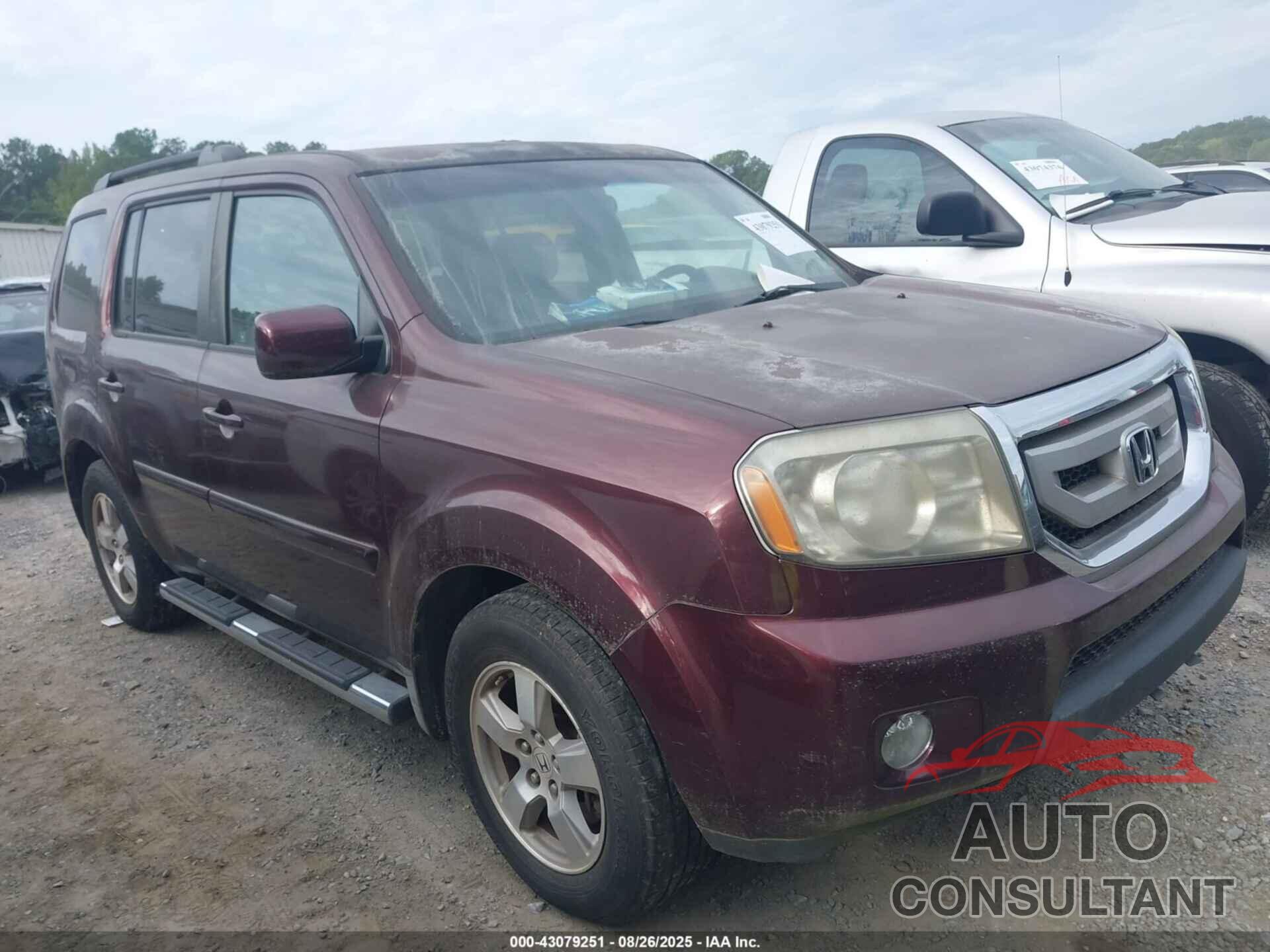 HONDA PILOT 2009 - 5FNYF48439B005191