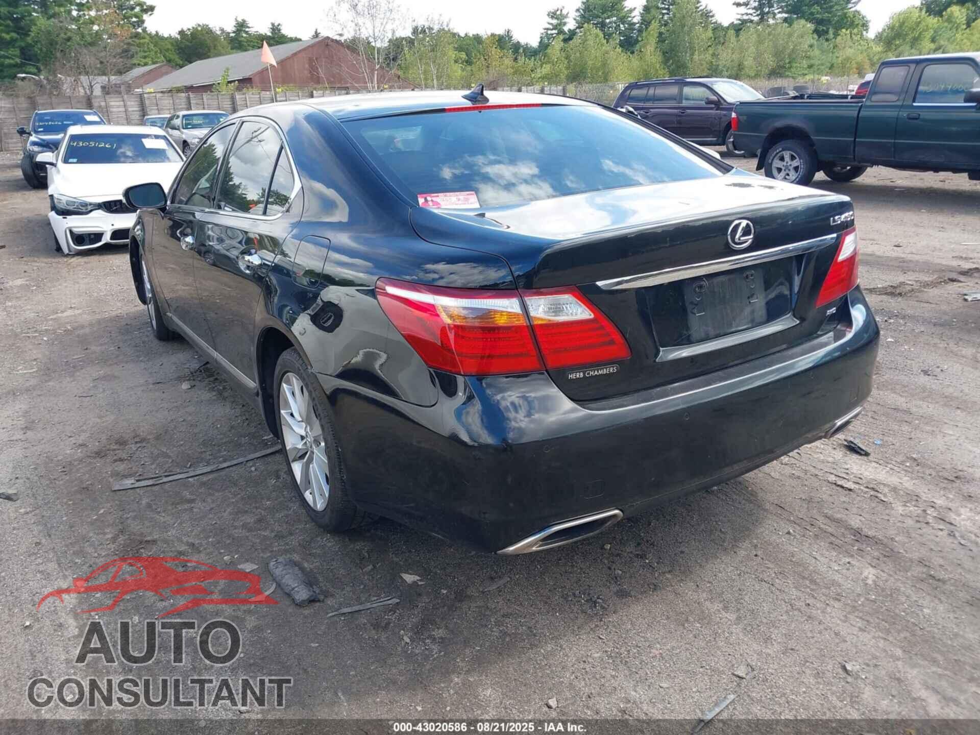 LEXUS LS 460 2011 - JTHCL5EF9B5012313