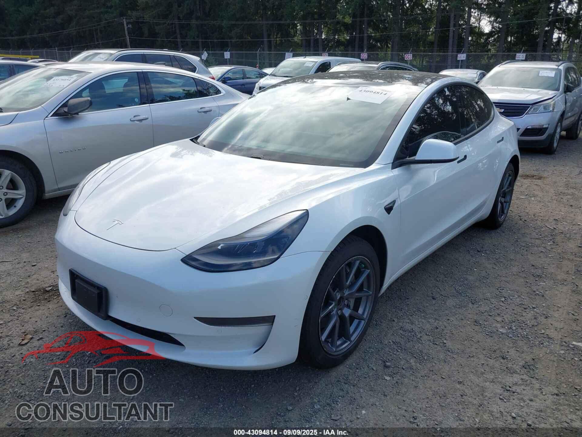 TESLA MODEL 3 2021 - 5YJ3E1EA3MF870838