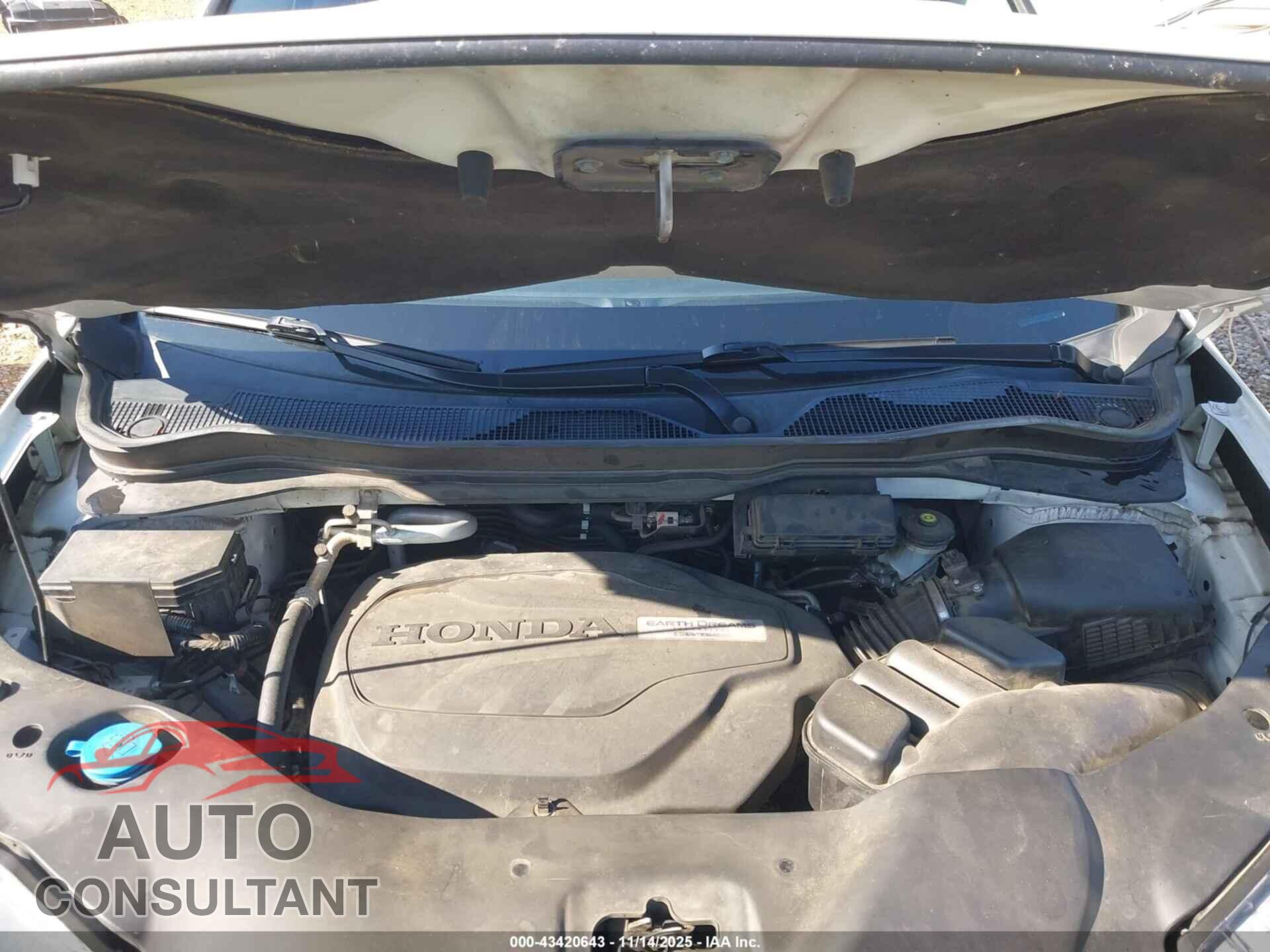 HONDA PILOT 2019 - 5FNYF5H13KB023742