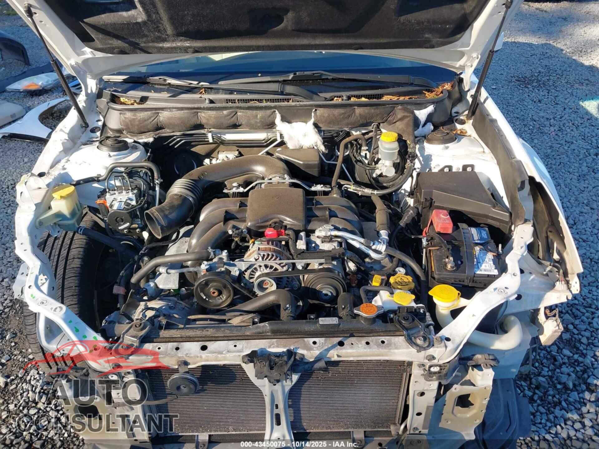 SUBARU OUTBACK 2011 - 4S4BRDLC8B2404145