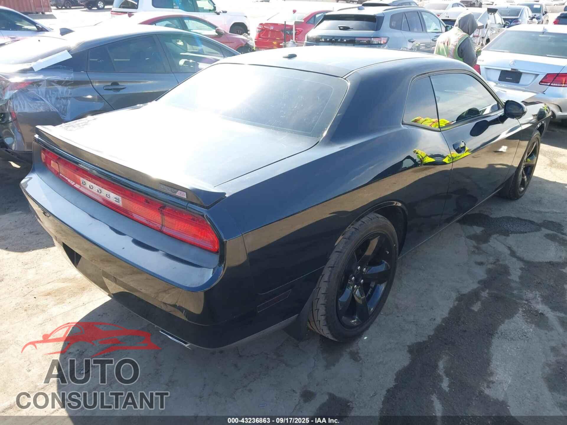 DODGE CHALLENGER 2014 - 2C3CDYAG7EH293883