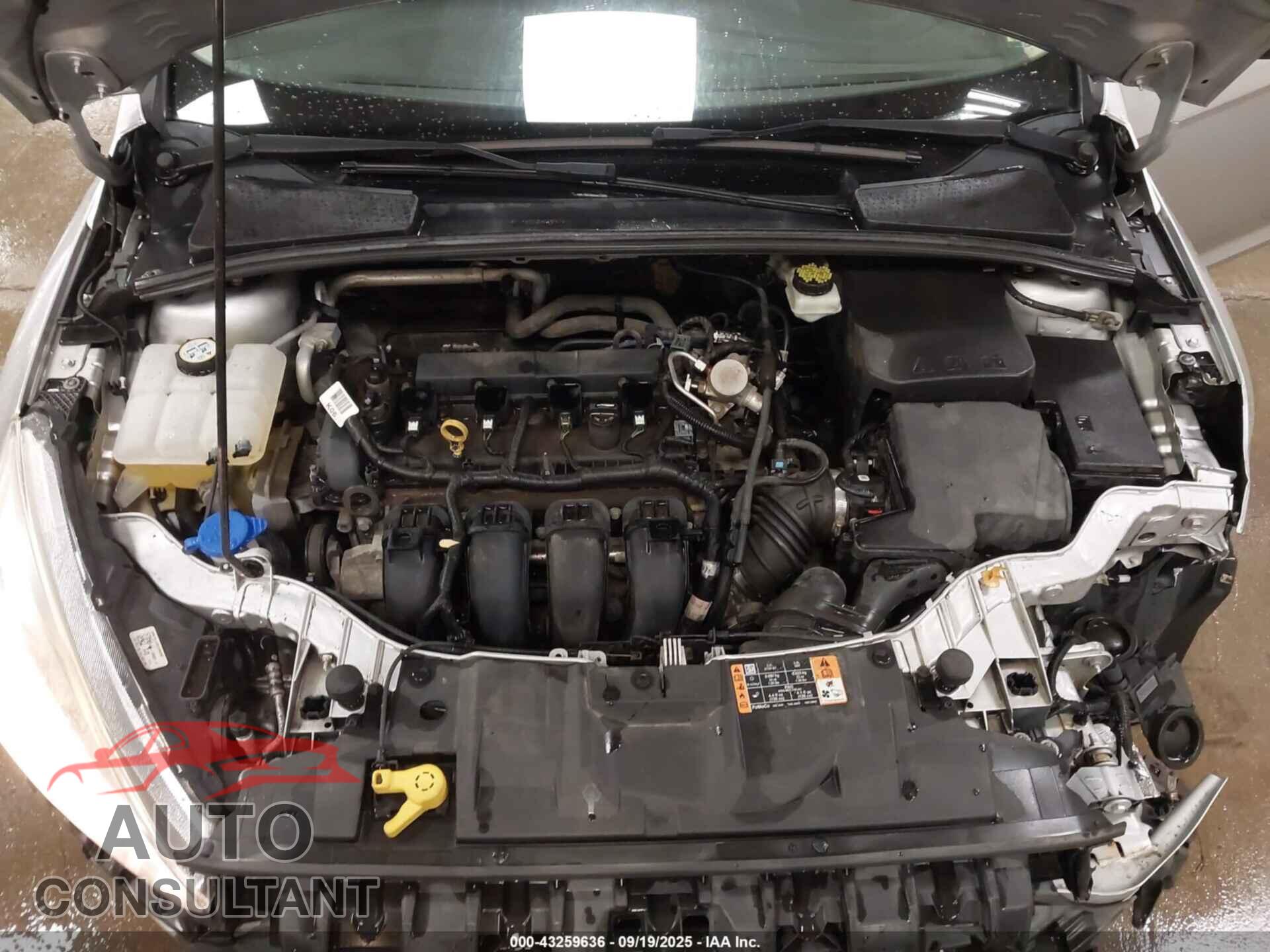 FORD FOCUS 2017 - 1FADP3E21HL212186