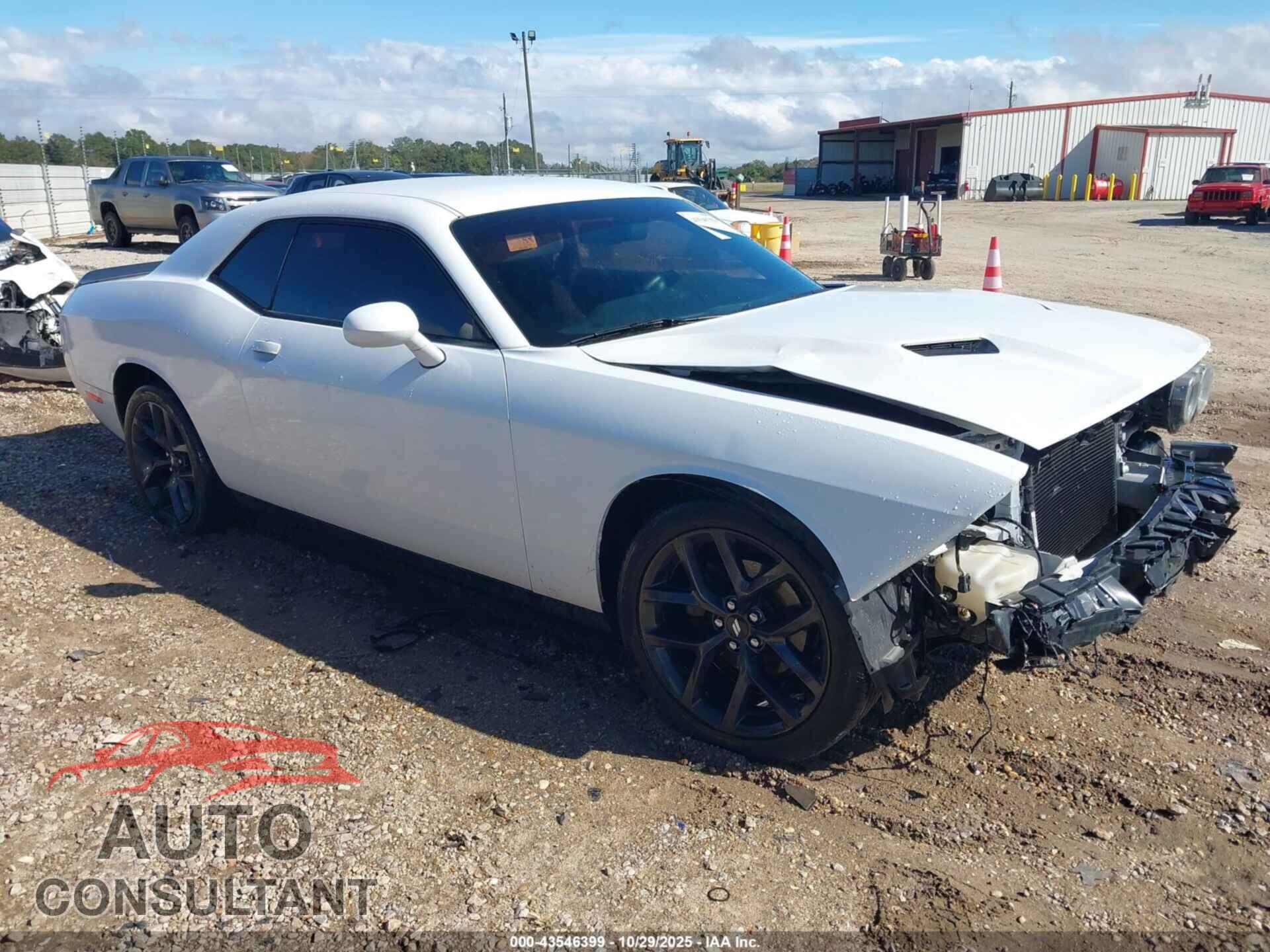 DODGE CHALLENGER 2019 - 2C3CDZAG7KH501309