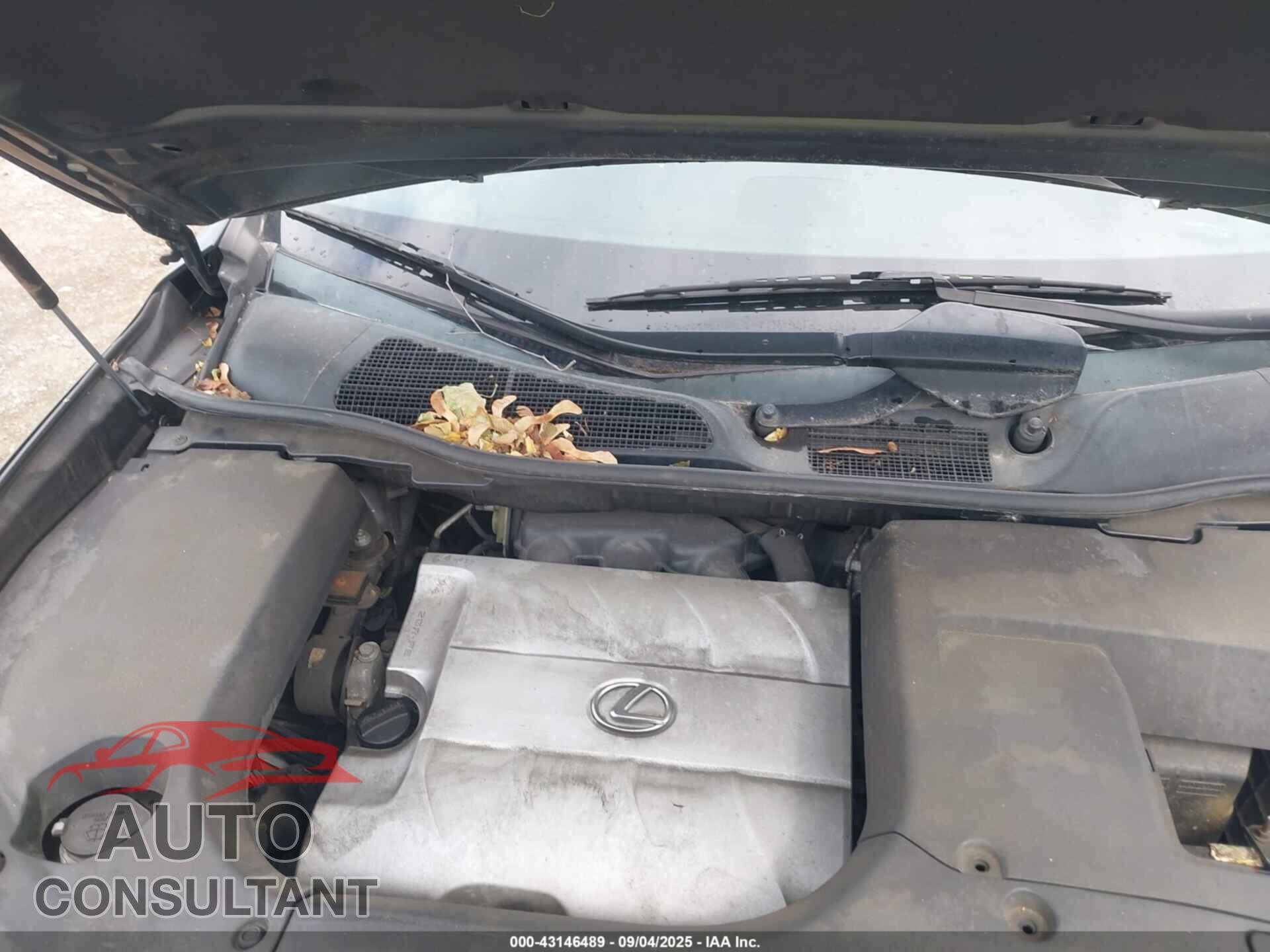 LEXUS RX 350 2011 - 2T2BK1BA2BC095194
