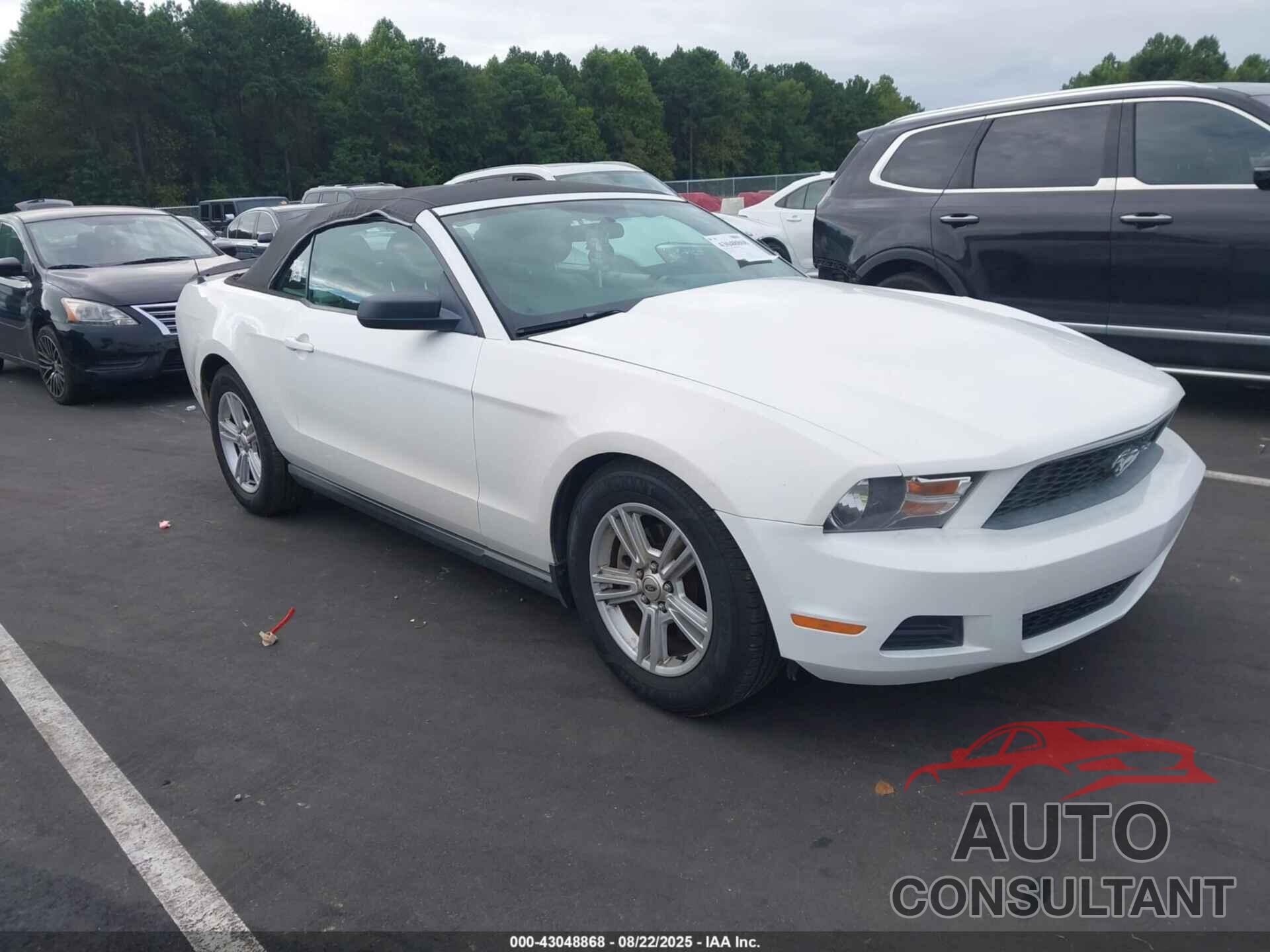 FORD MUSTANG 2011 - 1ZVBP8EM4B5161601