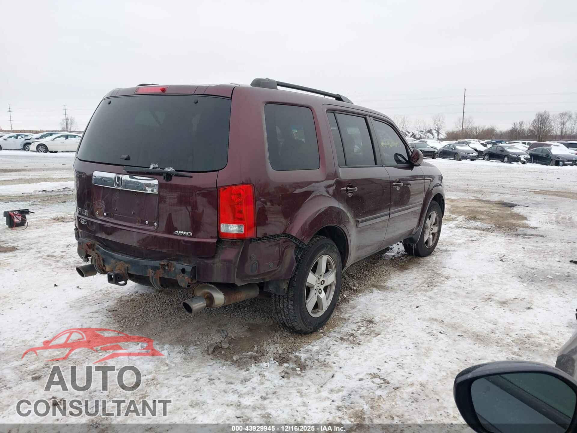 HONDA PILOT 2009 - 5FNYF48509B029327